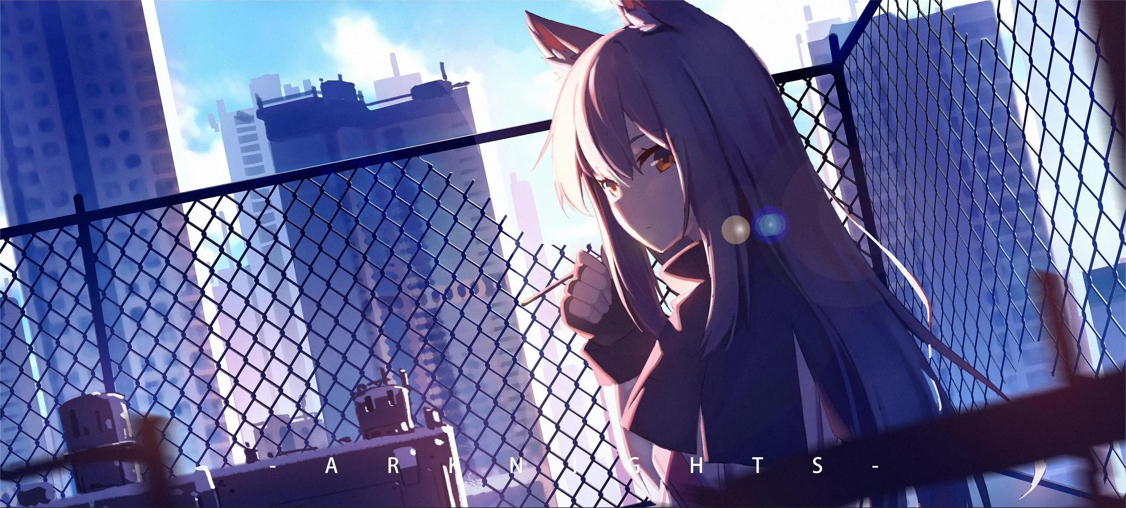 boxmoe_header_banner_img