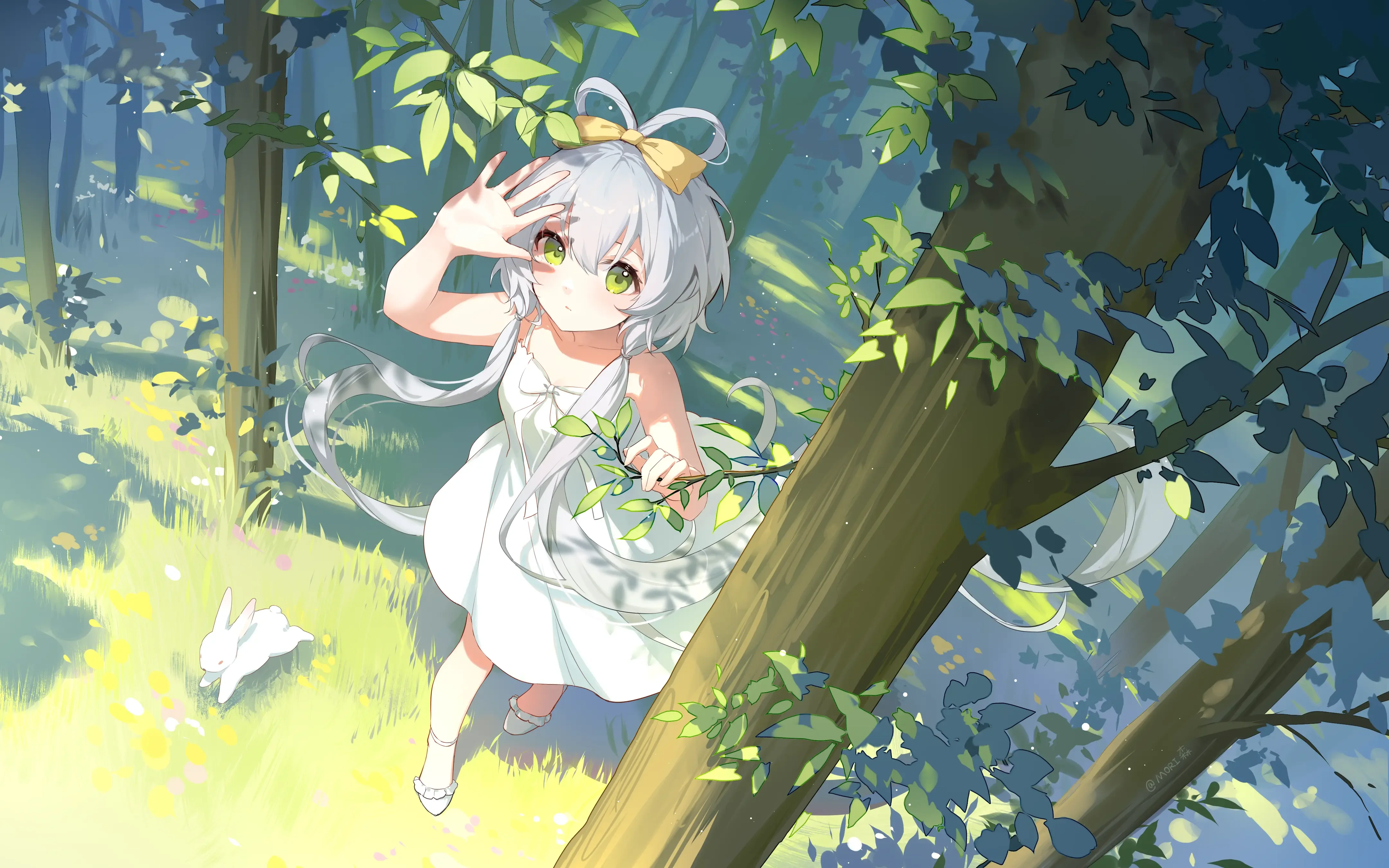 boxmoe_header_banner_img