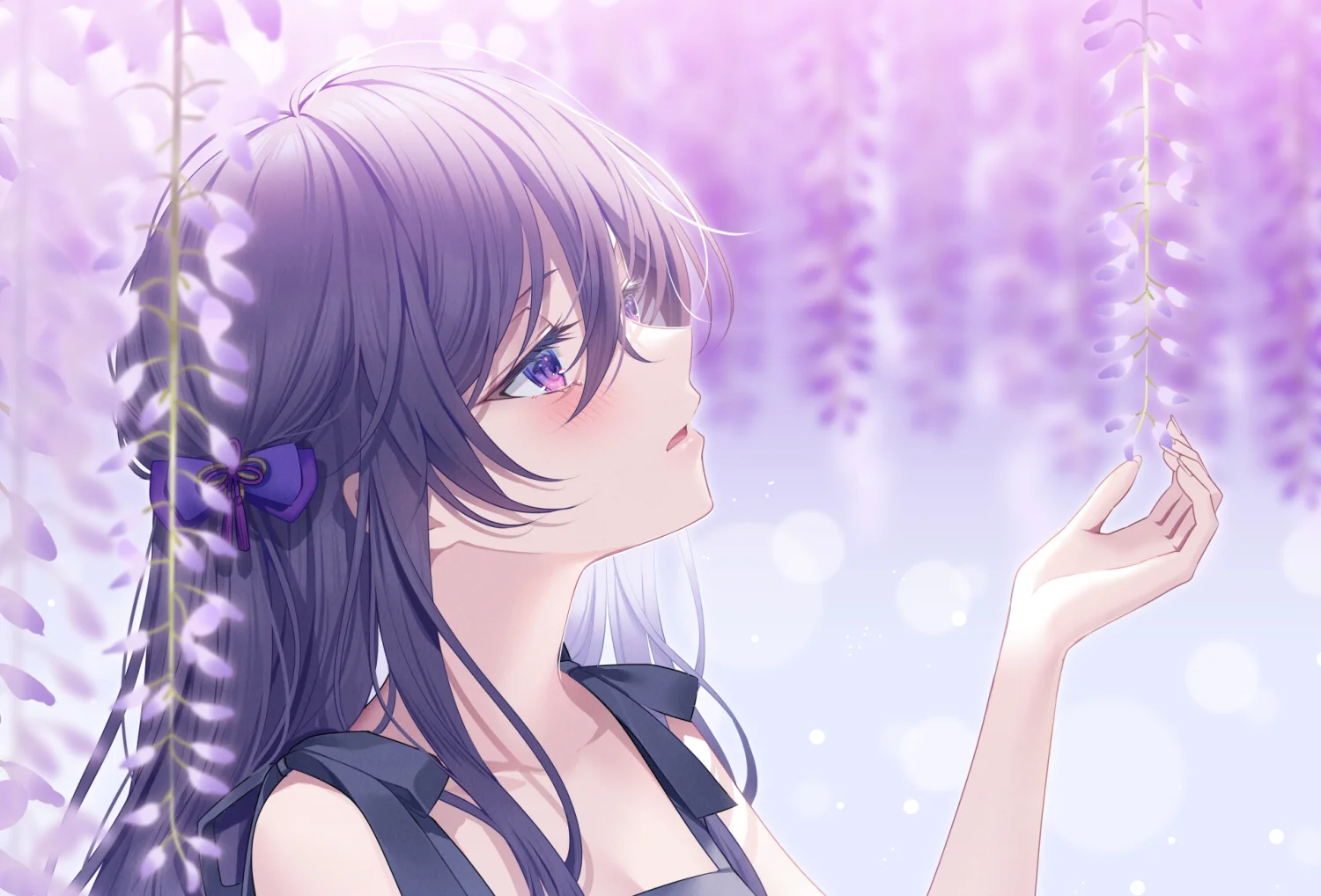 boxmoe_header_banner_img