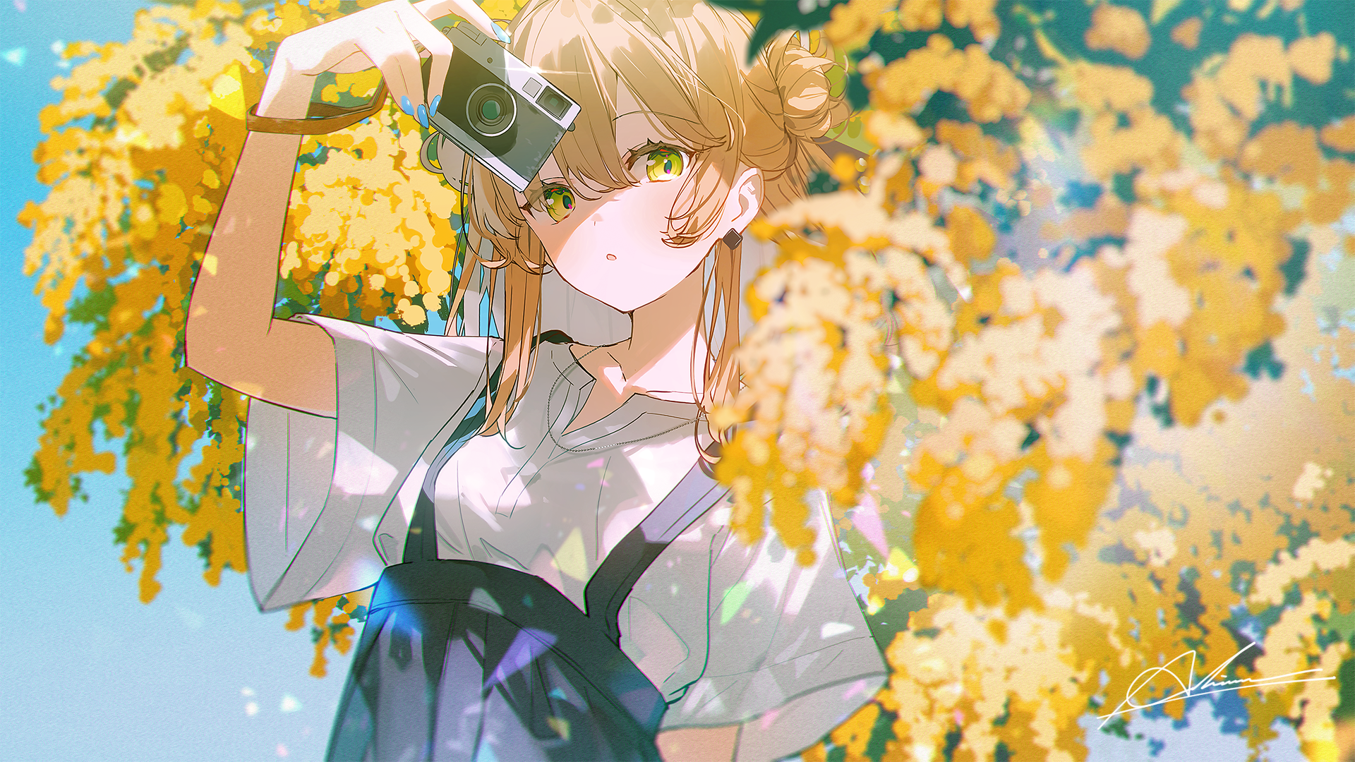 boxmoe_header_banner_img