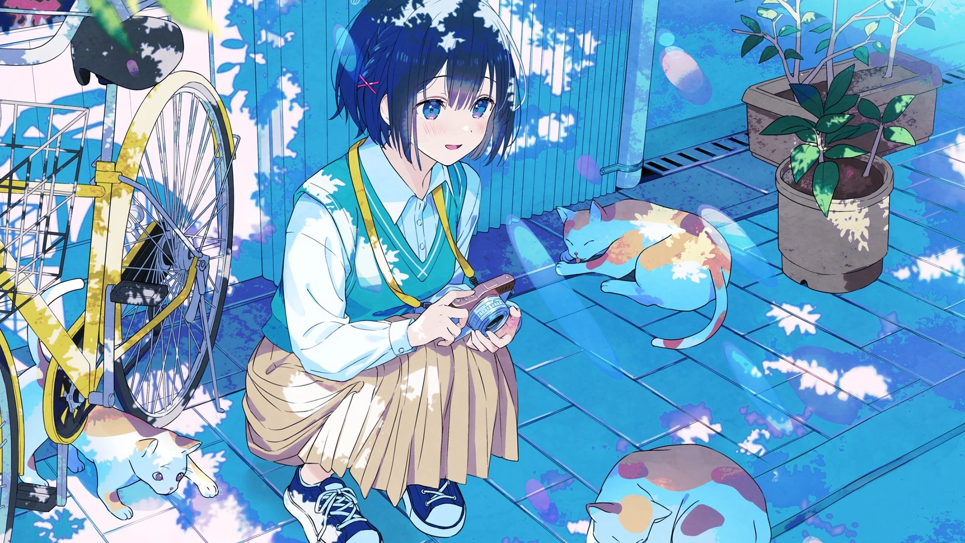 boxmoe_header_banner_img