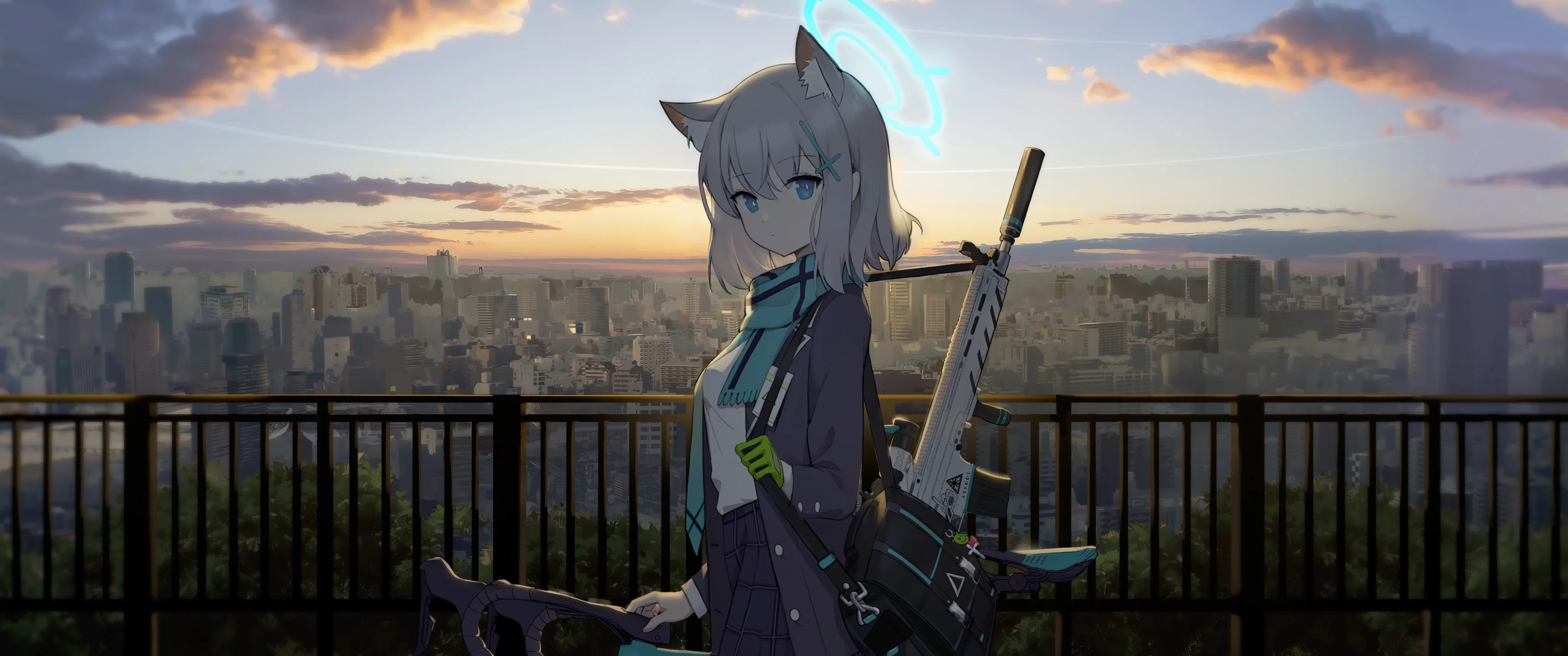 boxmoe_header_banner_img