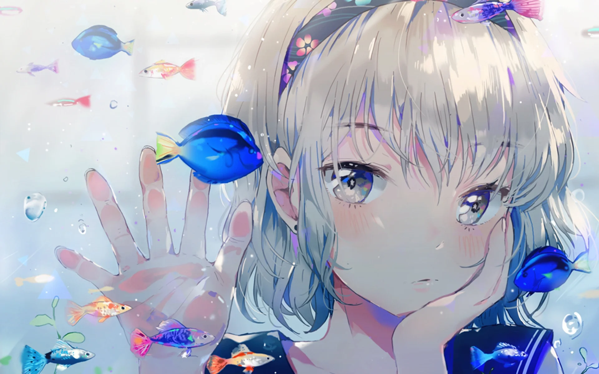 boxmoe_header_banner_img