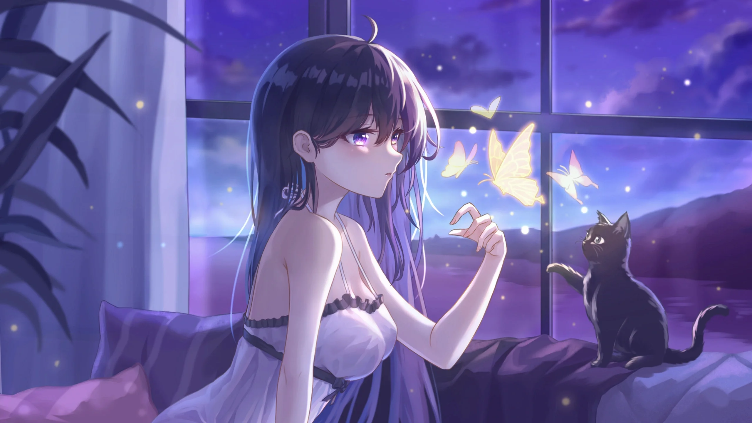 boxmoe_header_banner_img