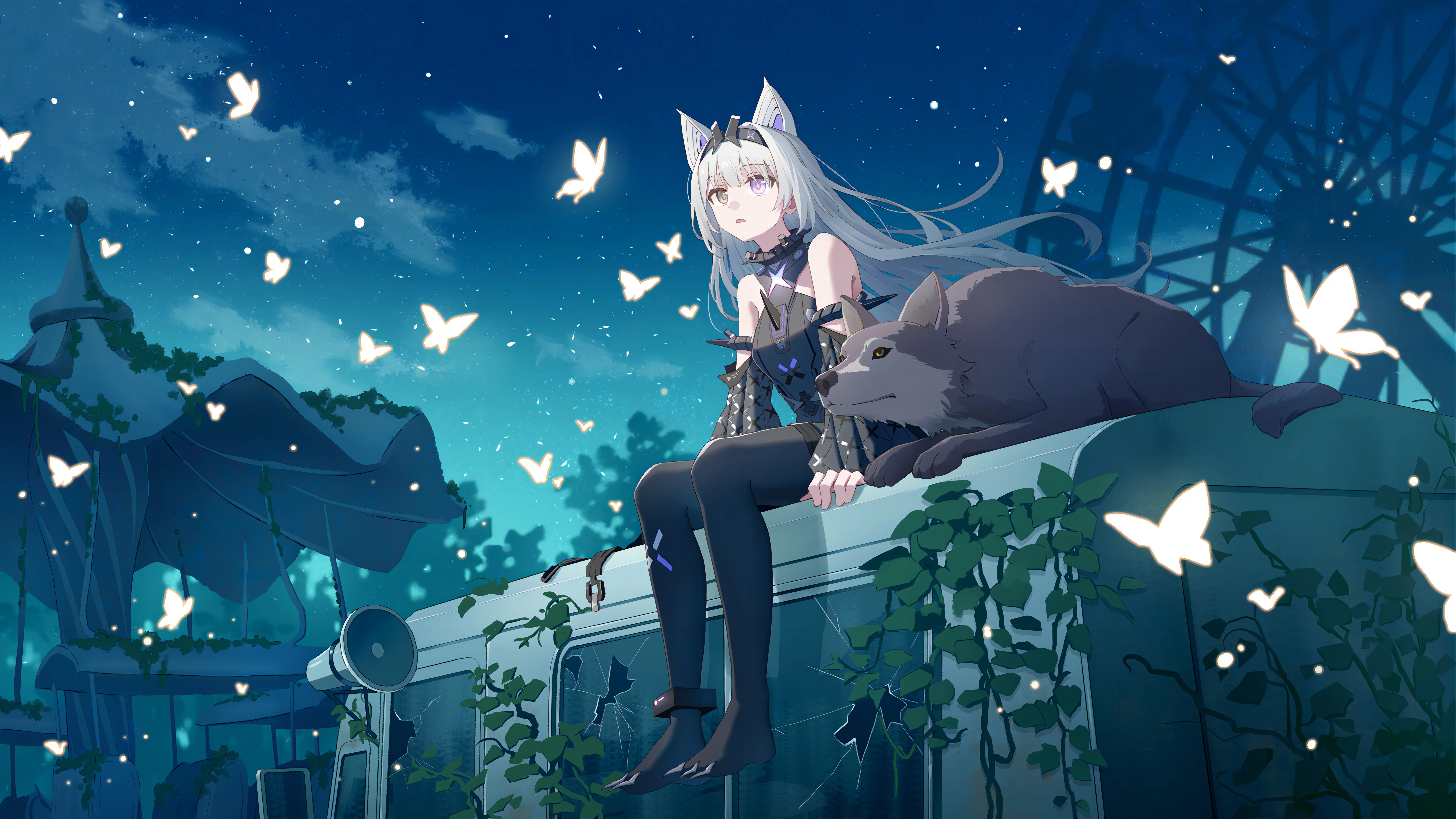 boxmoe_header_banner_img