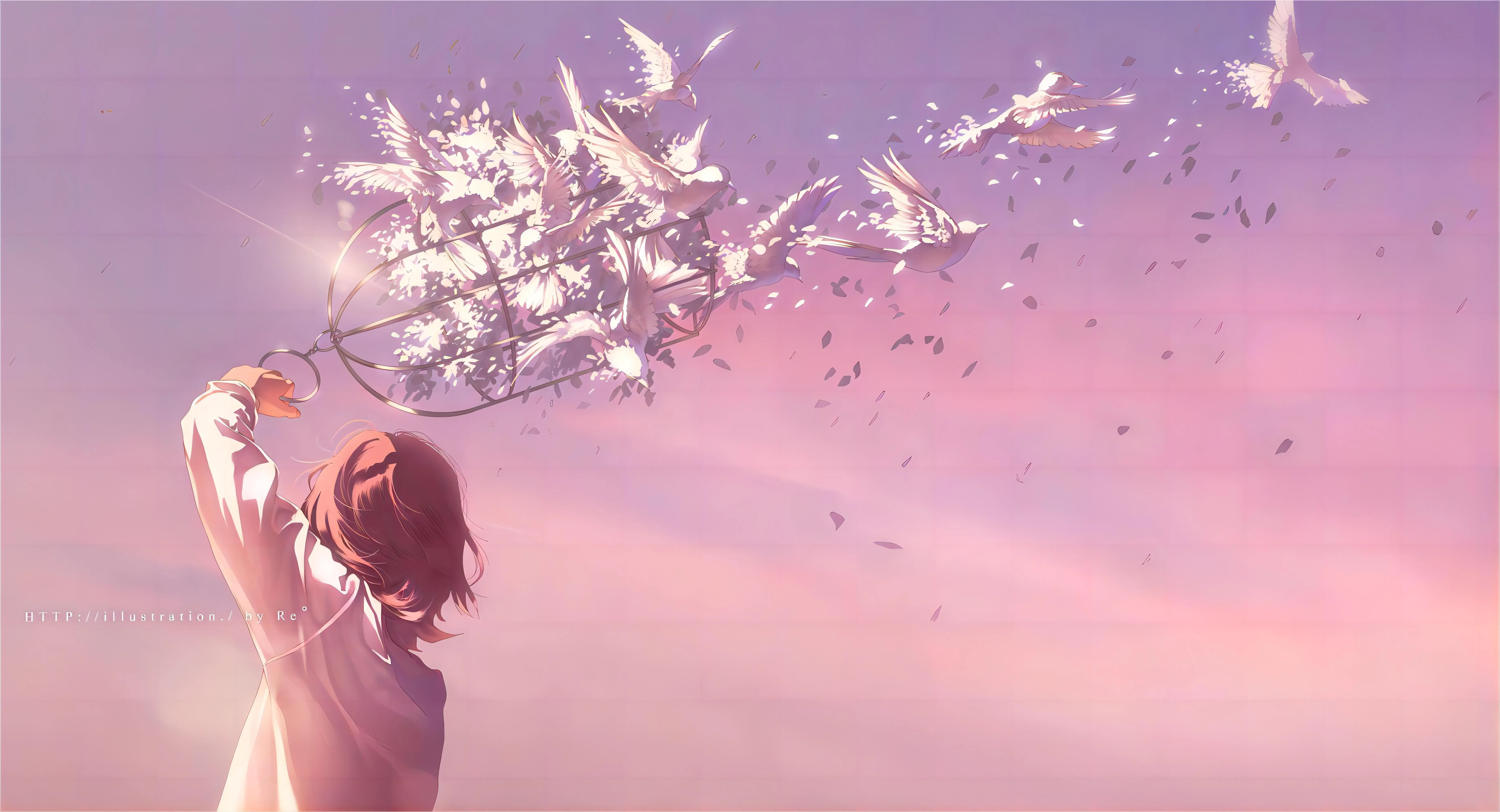 boxmoe_header_banner_img