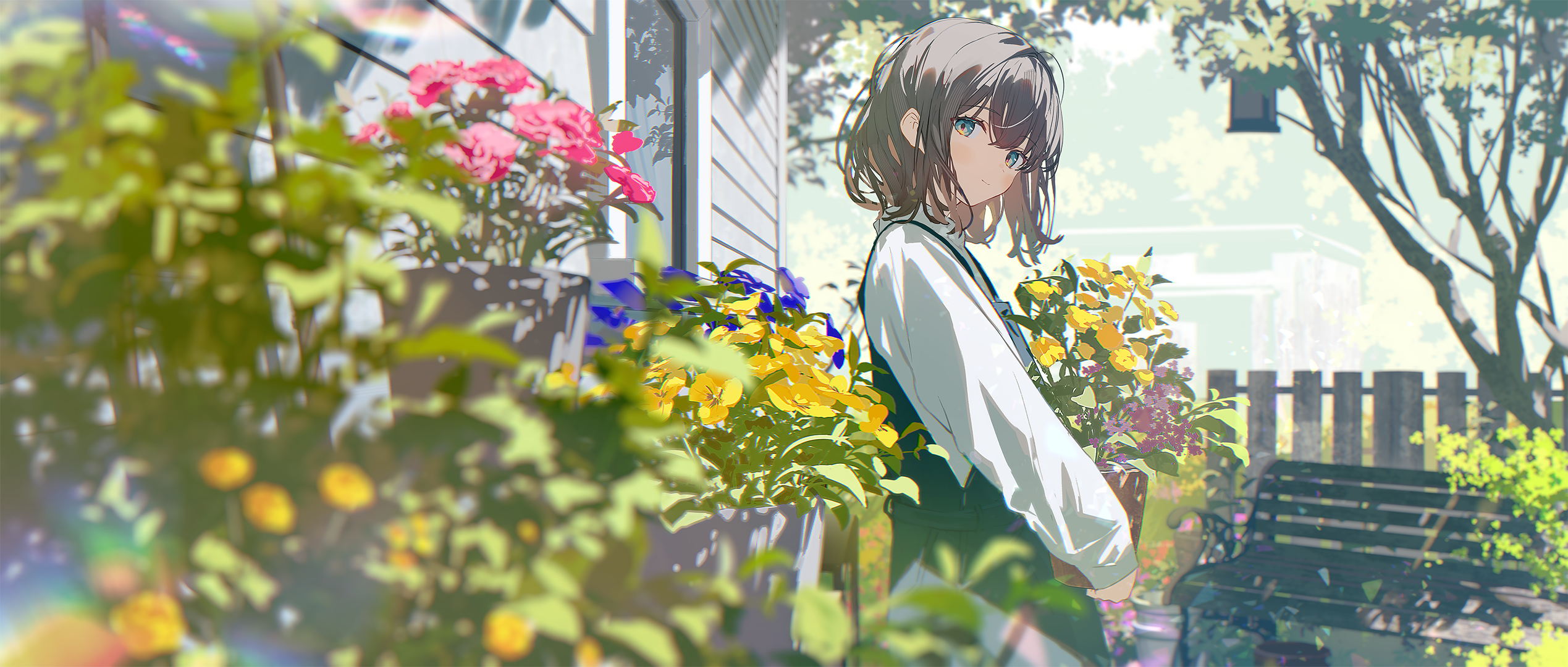 boxmoe_header_banner_img