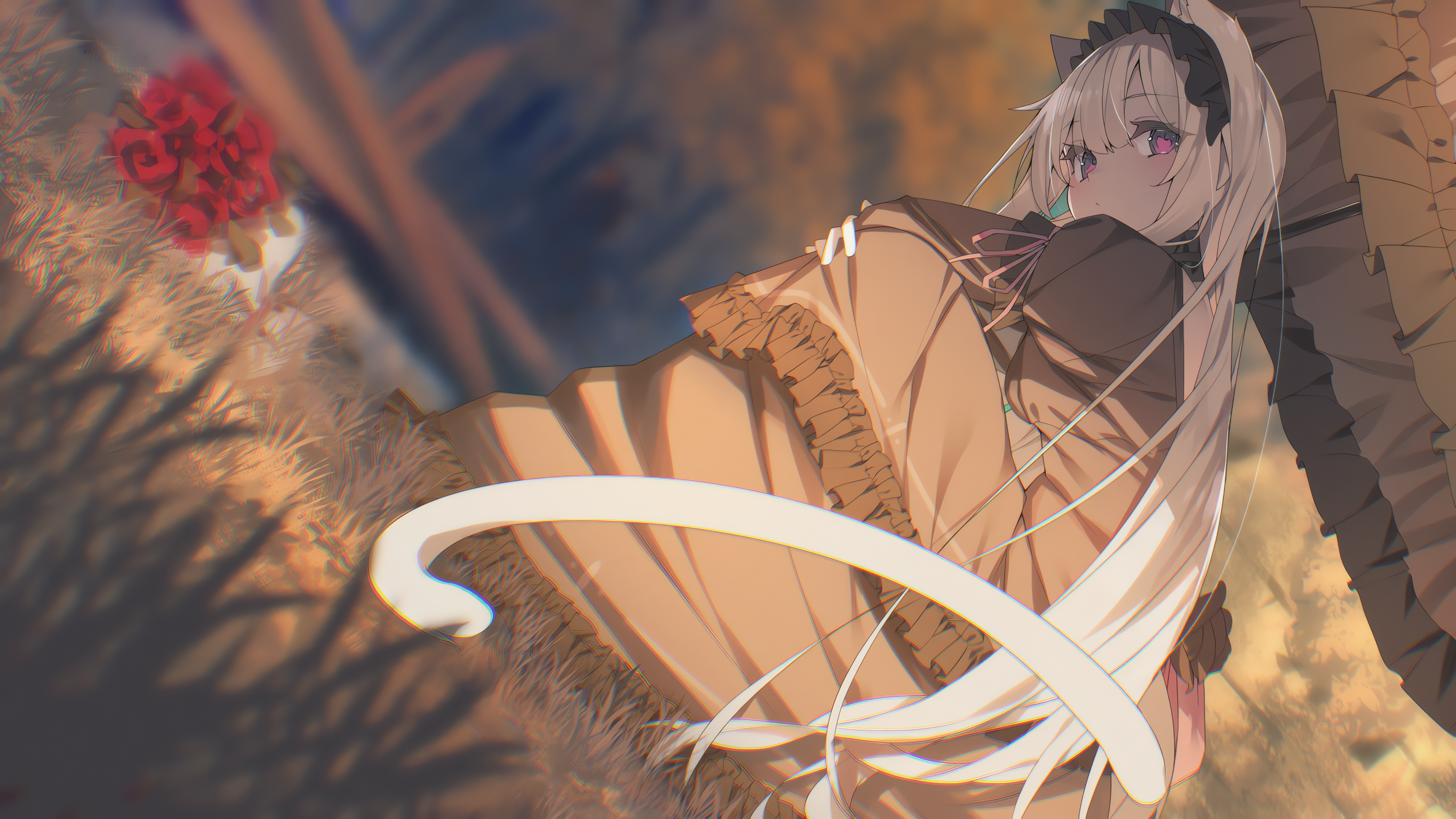 boxmoe_header_banner_img