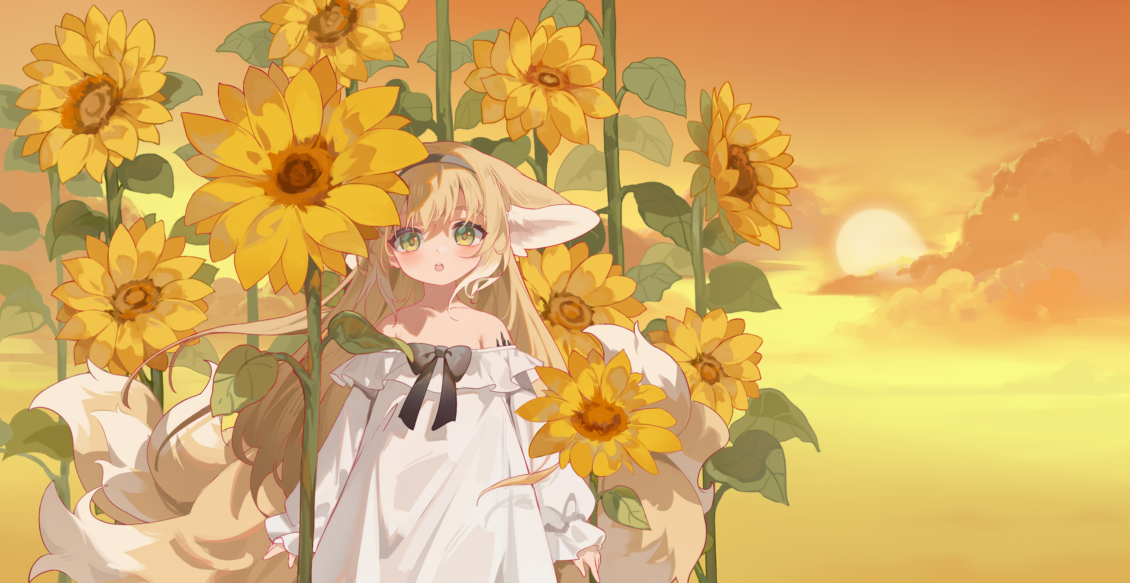 boxmoe_header_banner_img