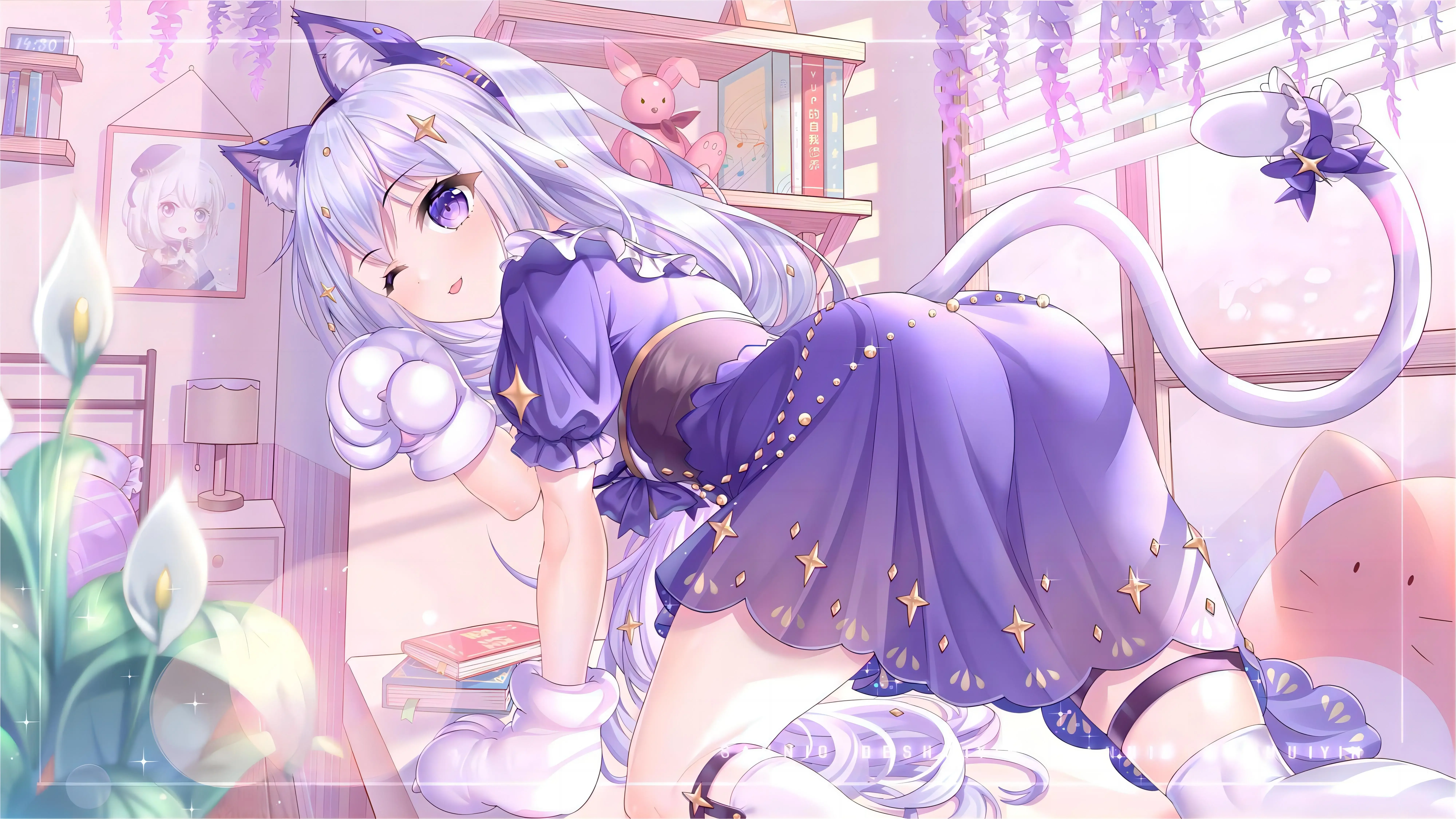 boxmoe_header_banner_img