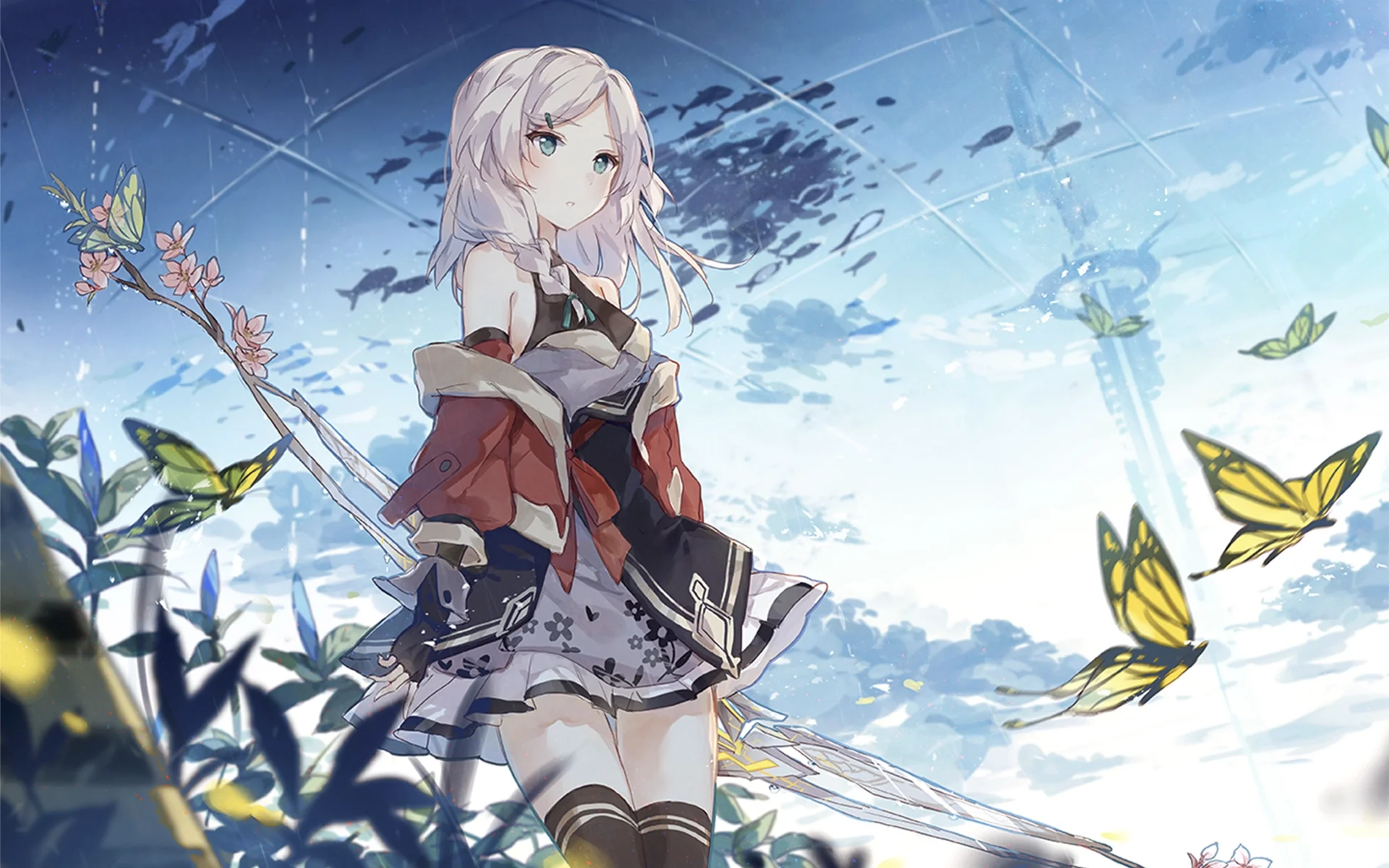 boxmoe_header_banner_img