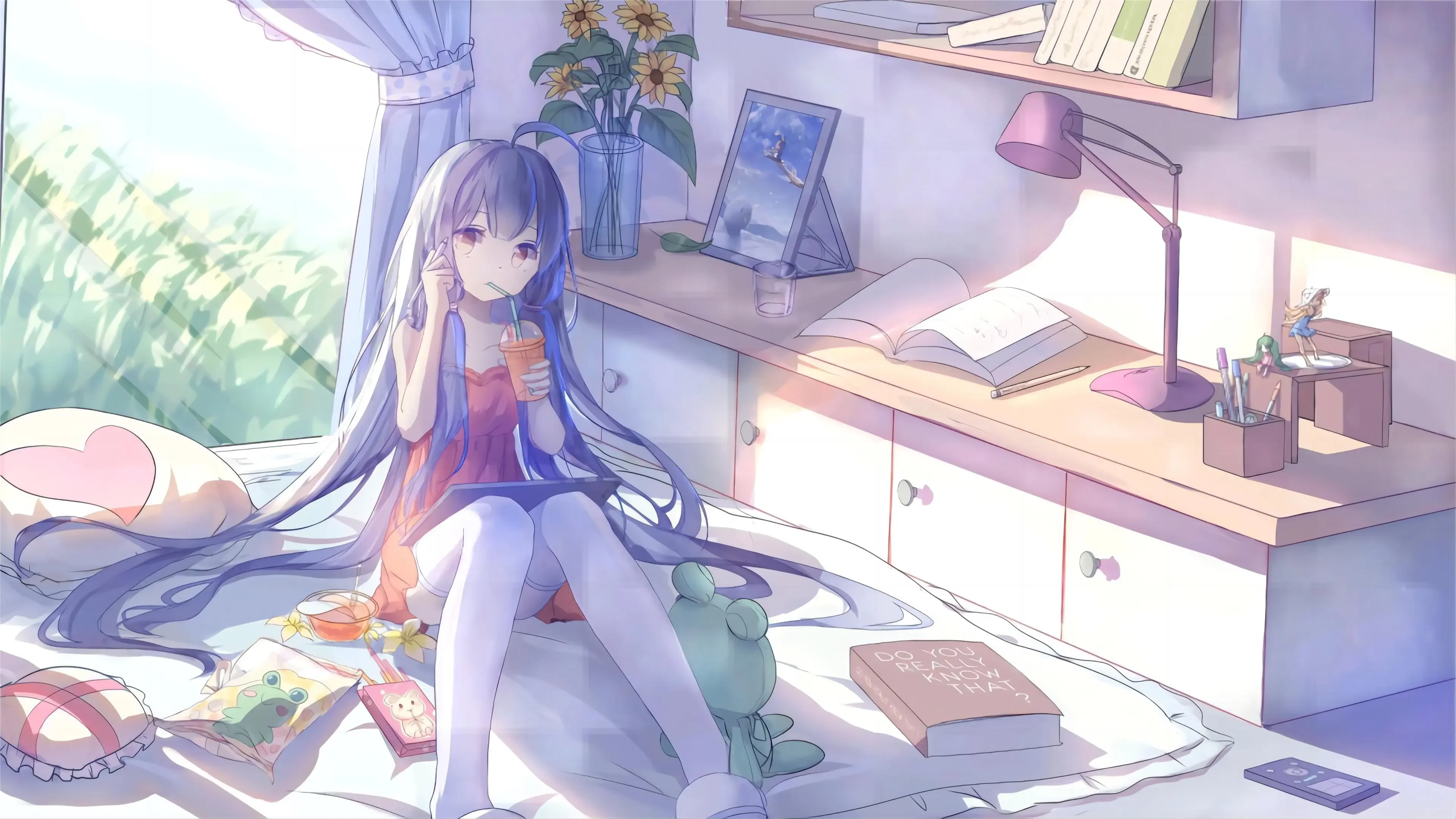 boxmoe_header_banner_img