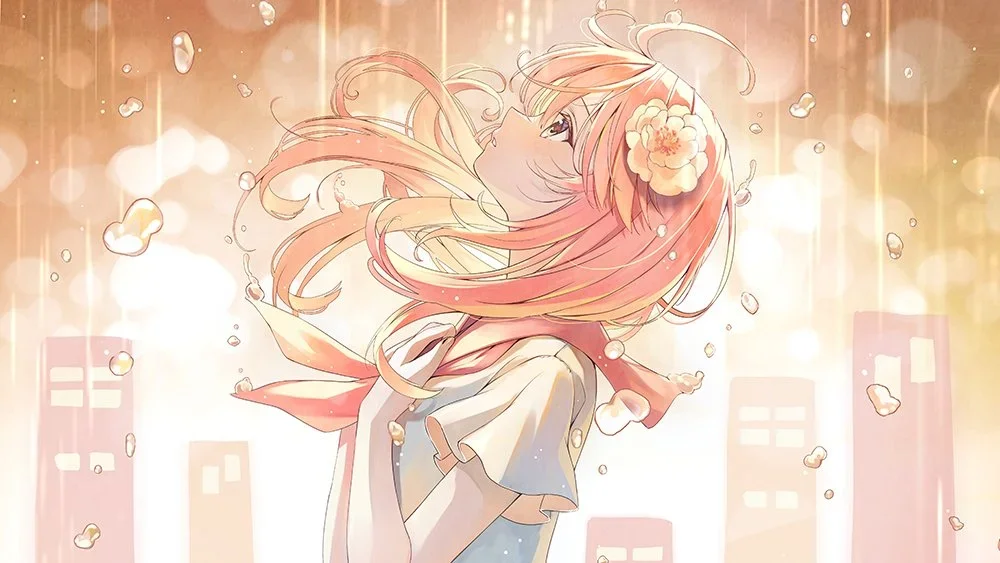 boxmoe_header_banner_img