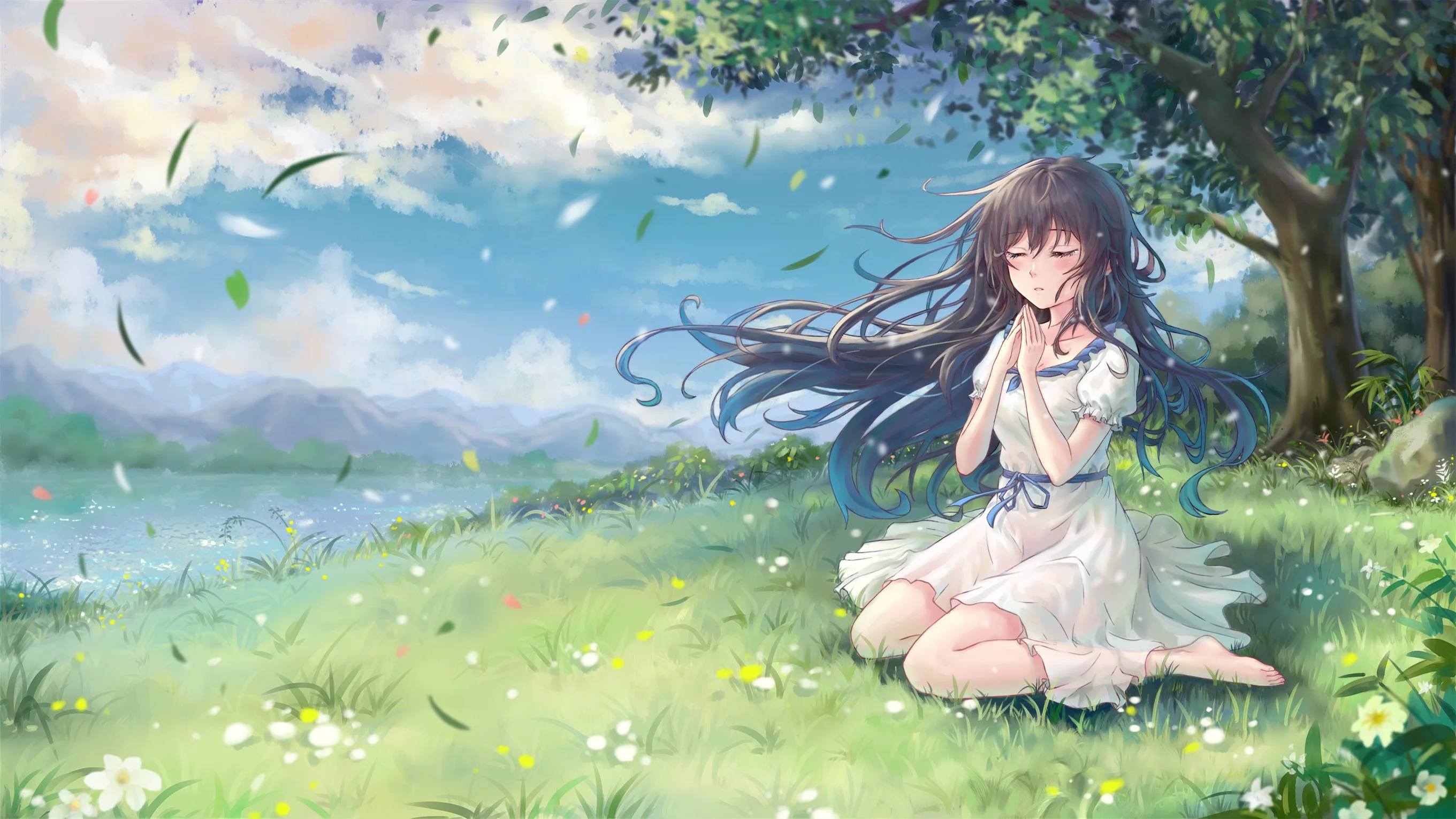 boxmoe_header_banner_img