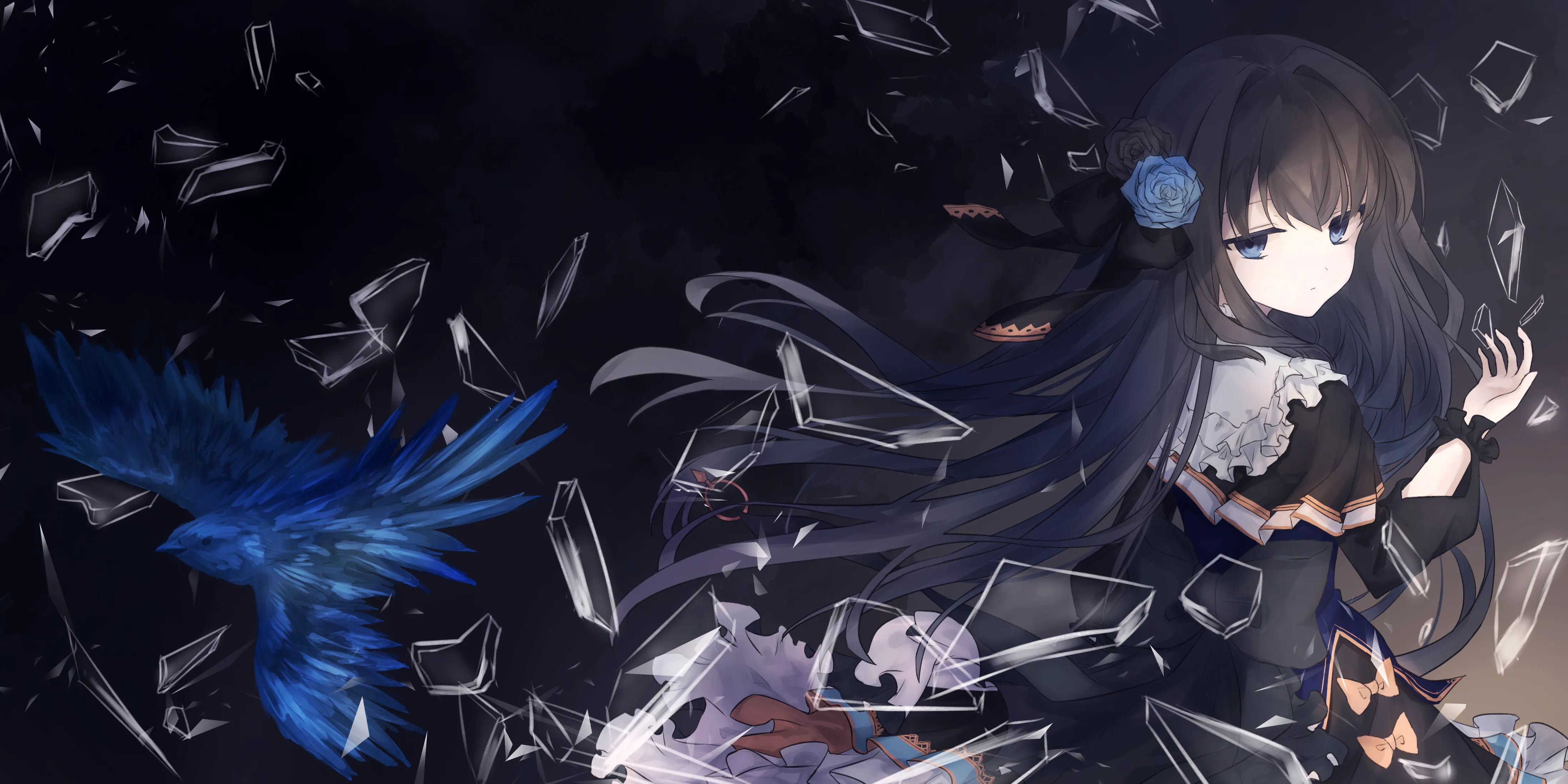 boxmoe_header_banner_img