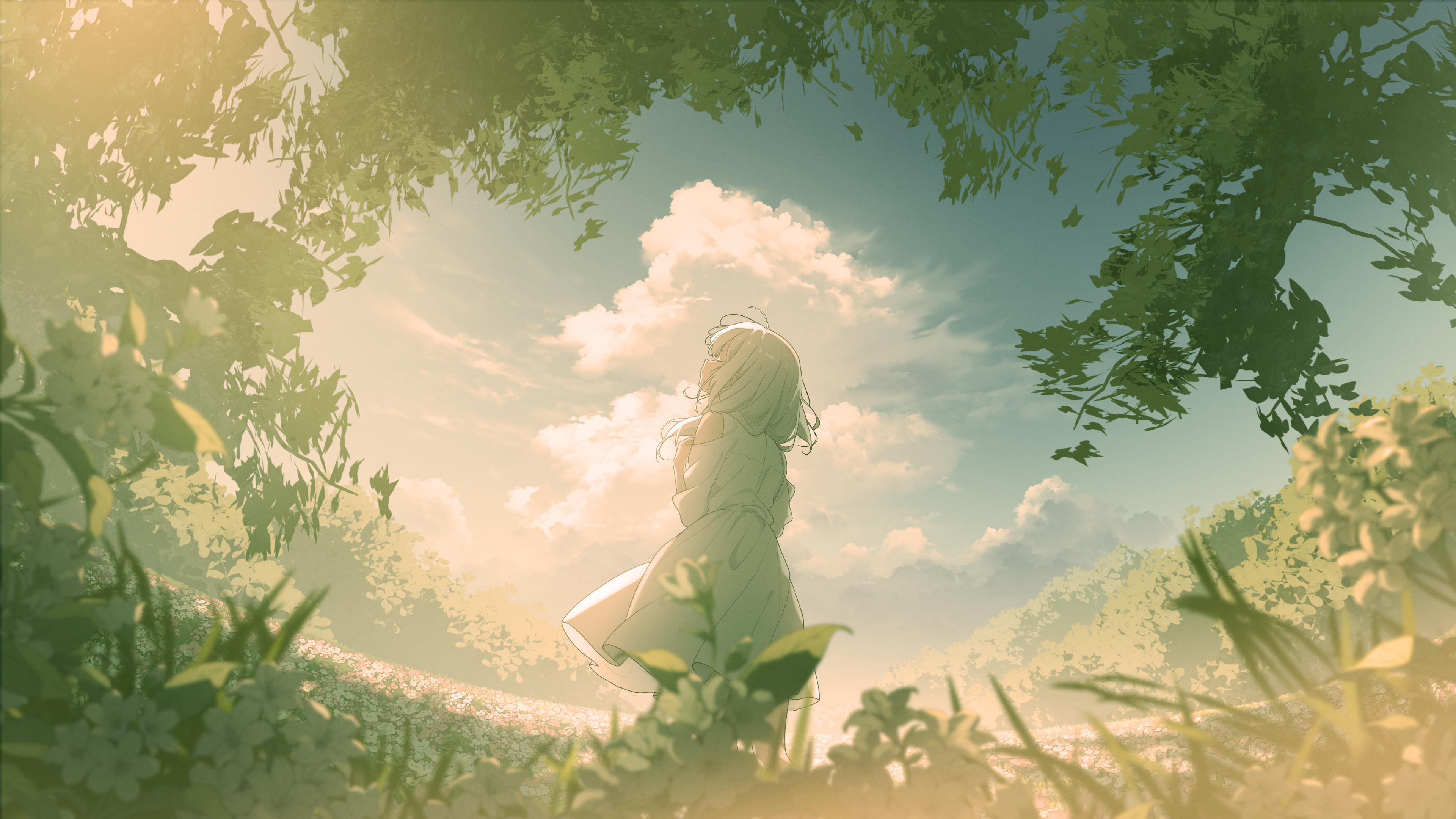 boxmoe_header_banner_img