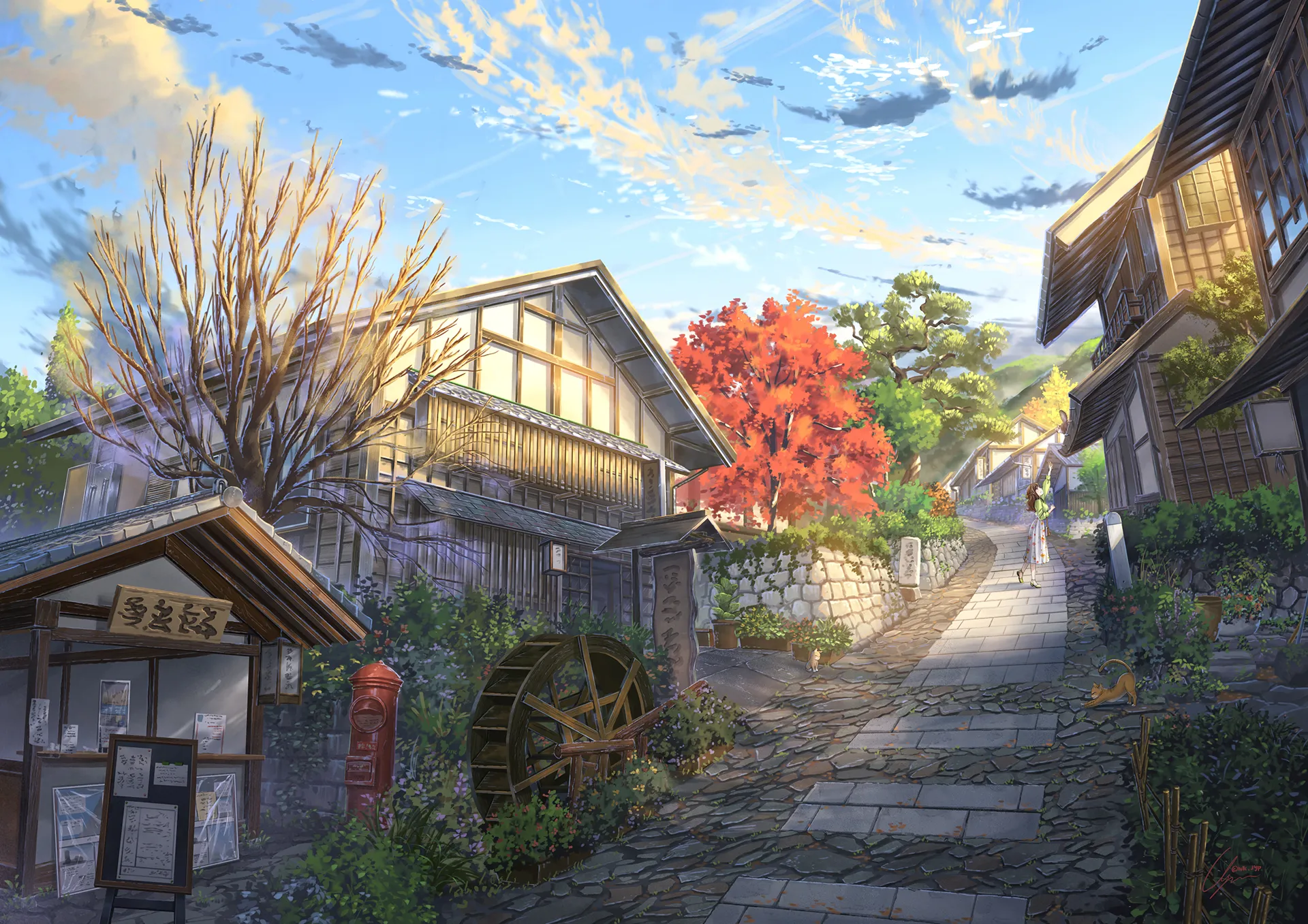 boxmoe_header_banner_img