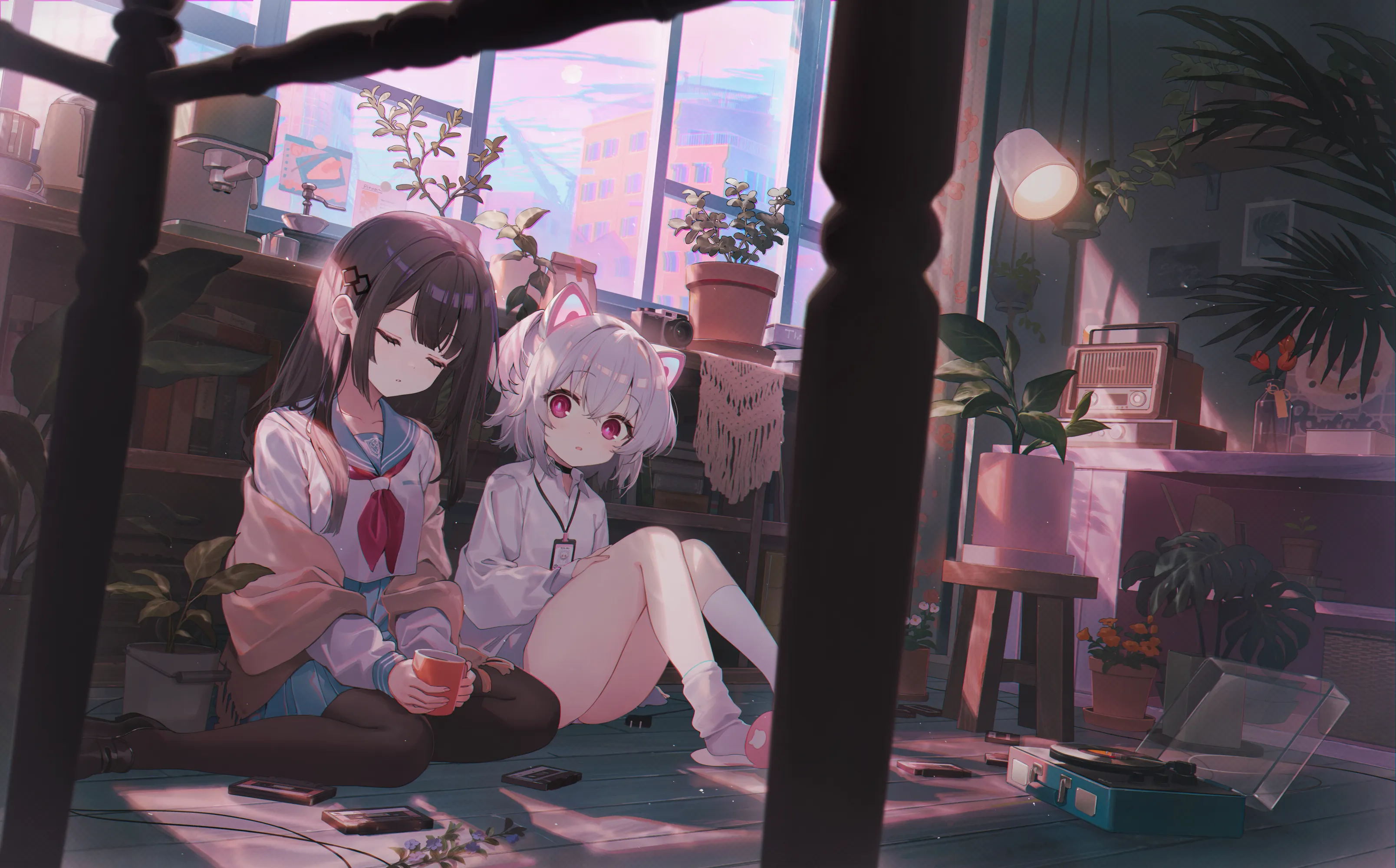 boxmoe_header_banner_img