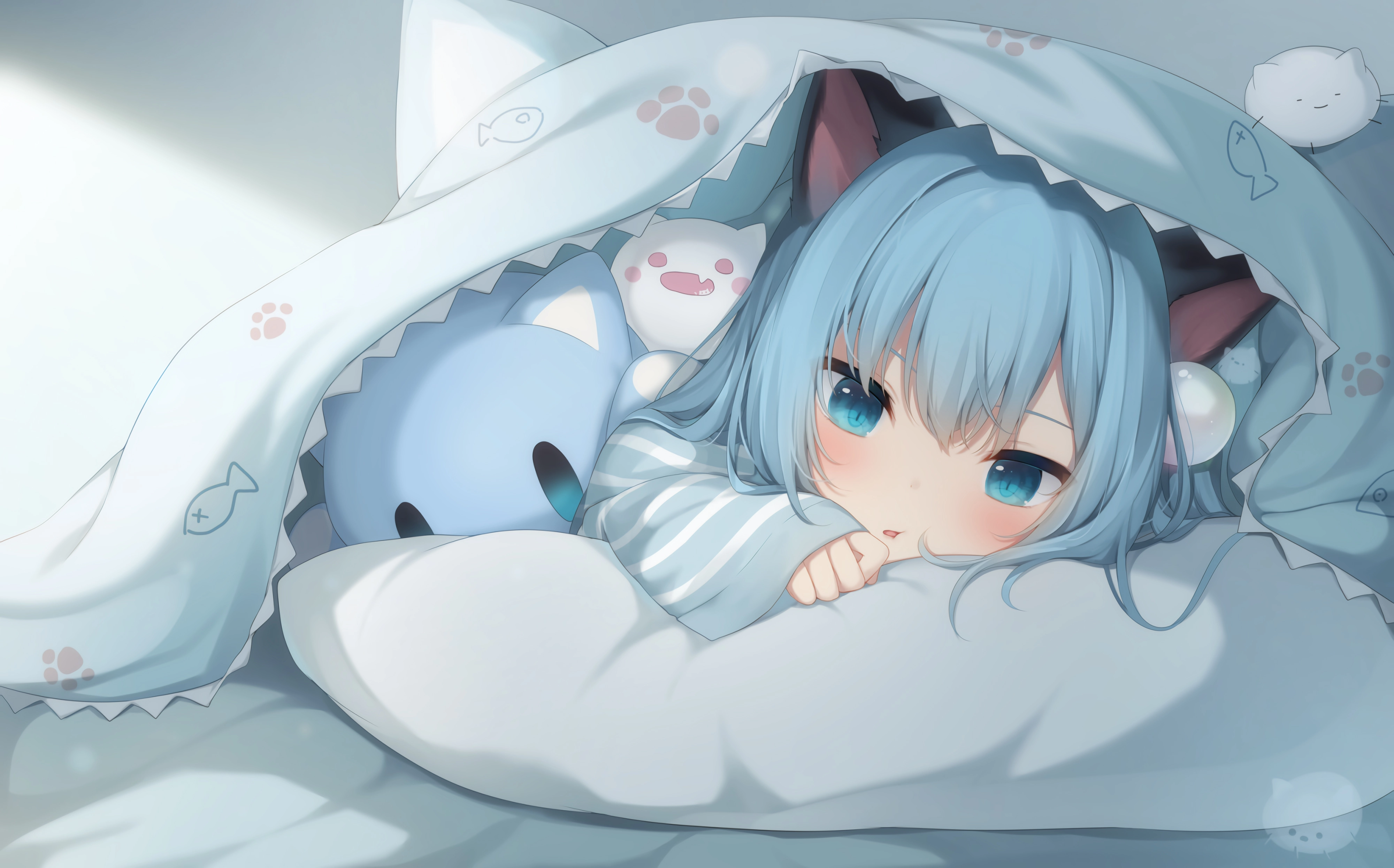boxmoe_header_banner_img