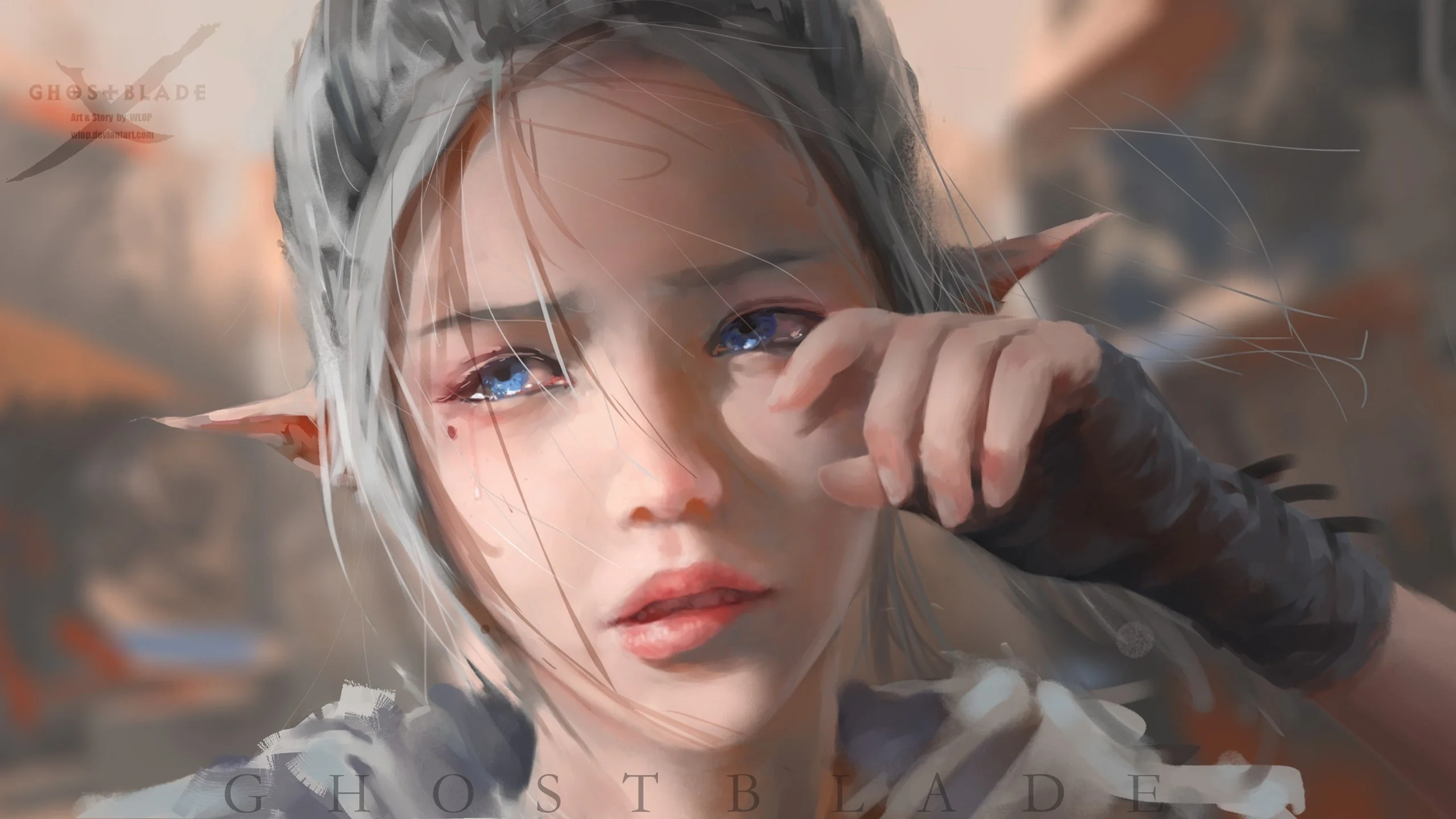 boxmoe_header_banner_img