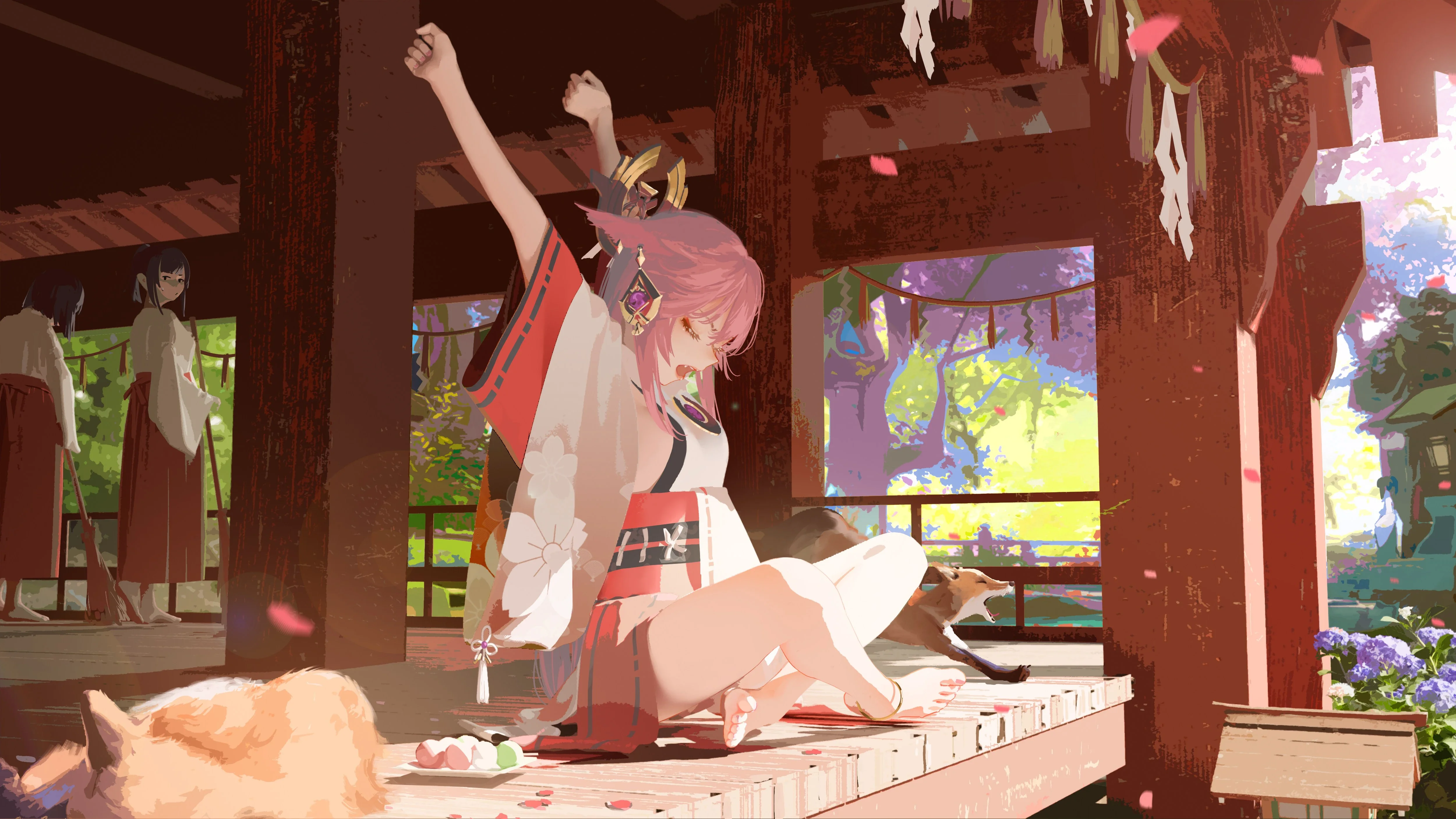 boxmoe_header_banner_img