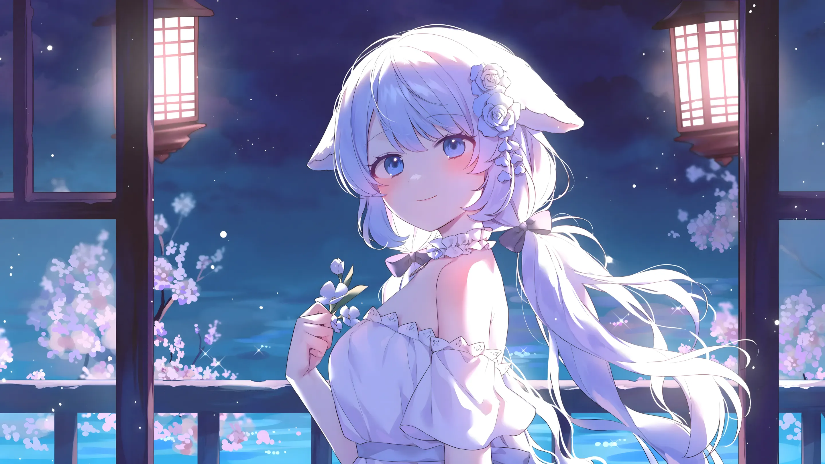 boxmoe_header_banner_img