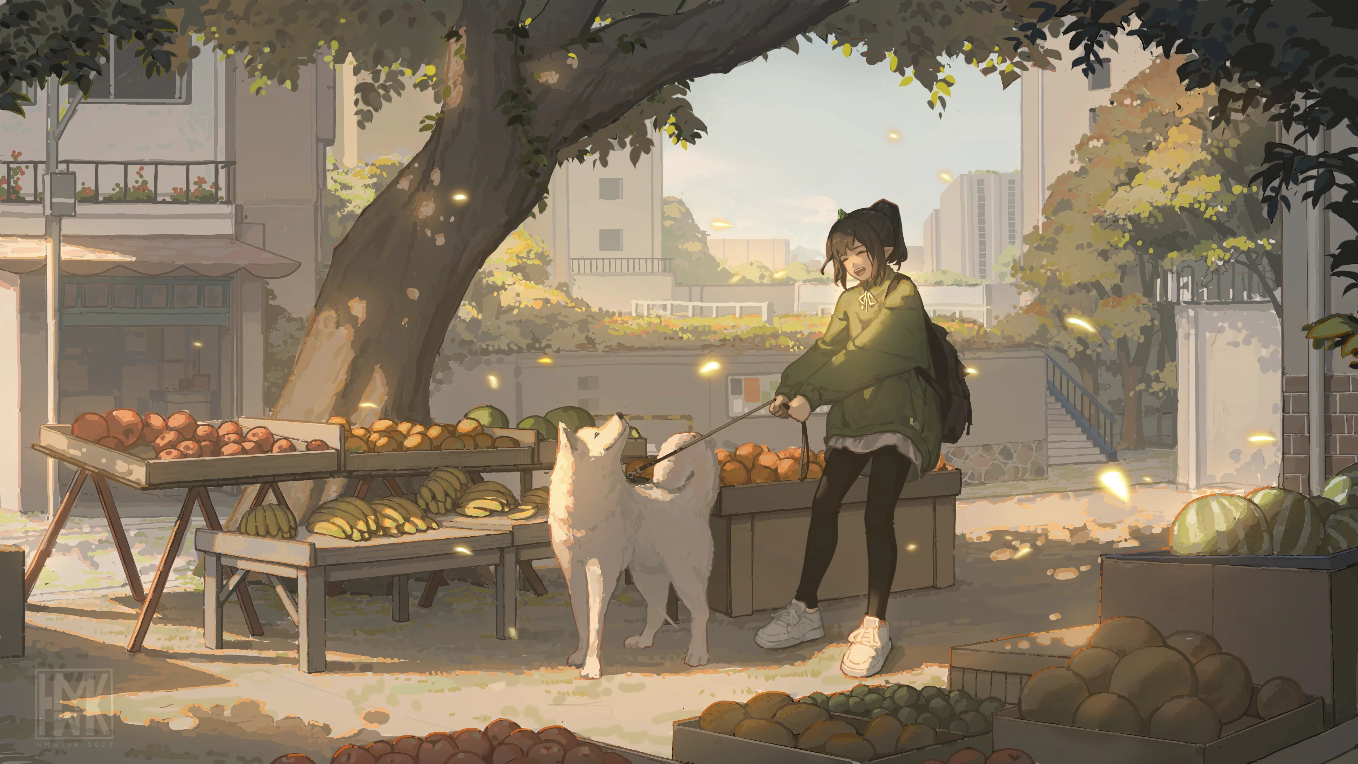 boxmoe_header_banner_img