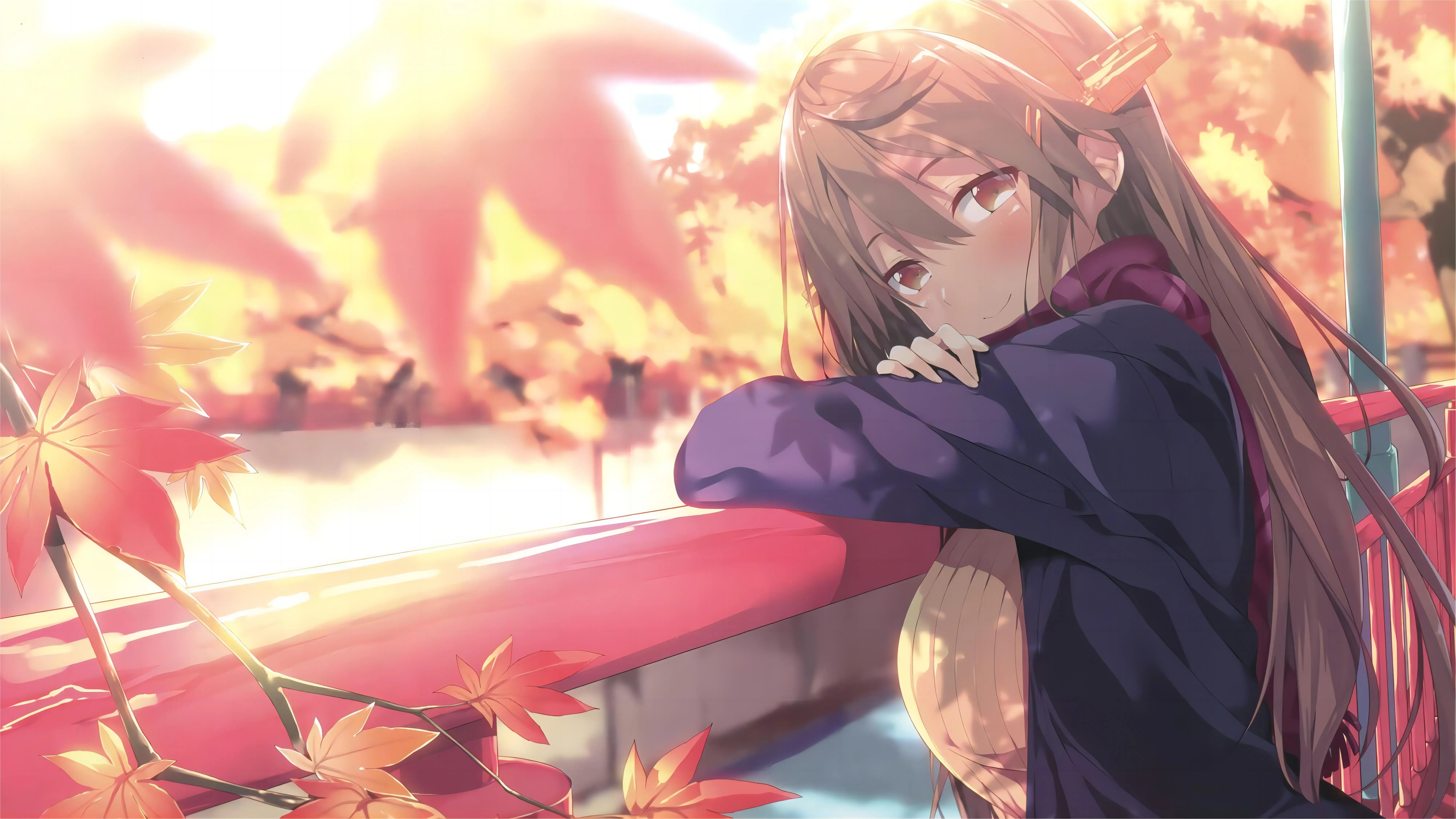 boxmoe_header_banner_img