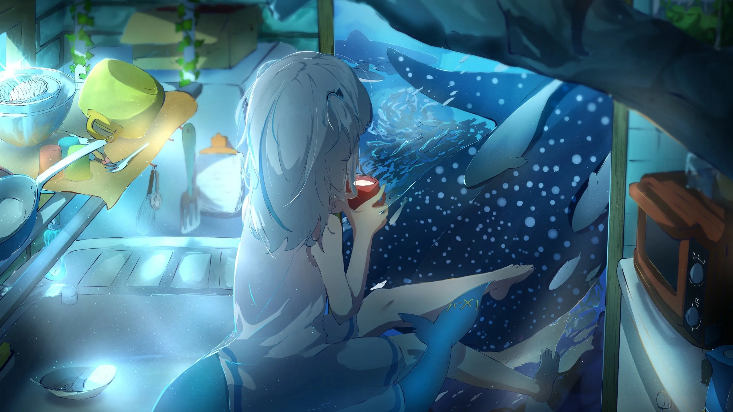 boxmoe_header_banner_img