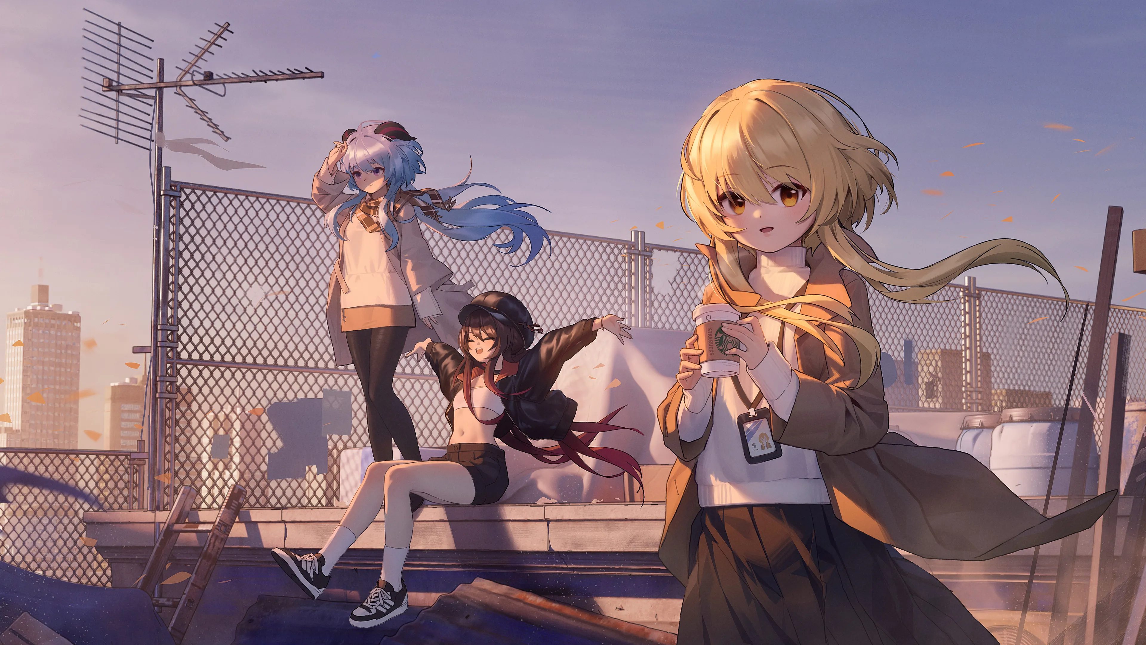 boxmoe_header_banner_img