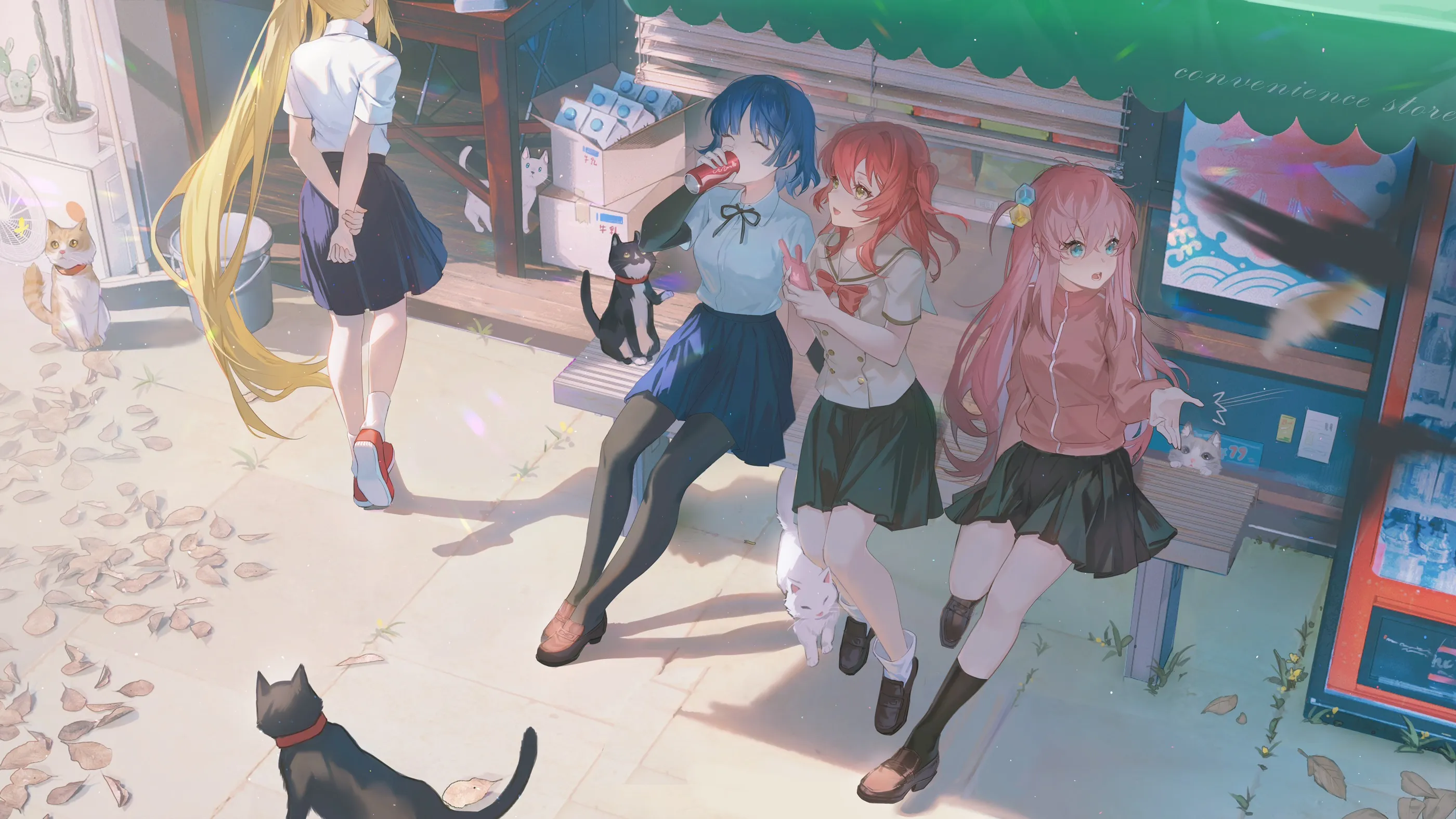 boxmoe_header_banner_img