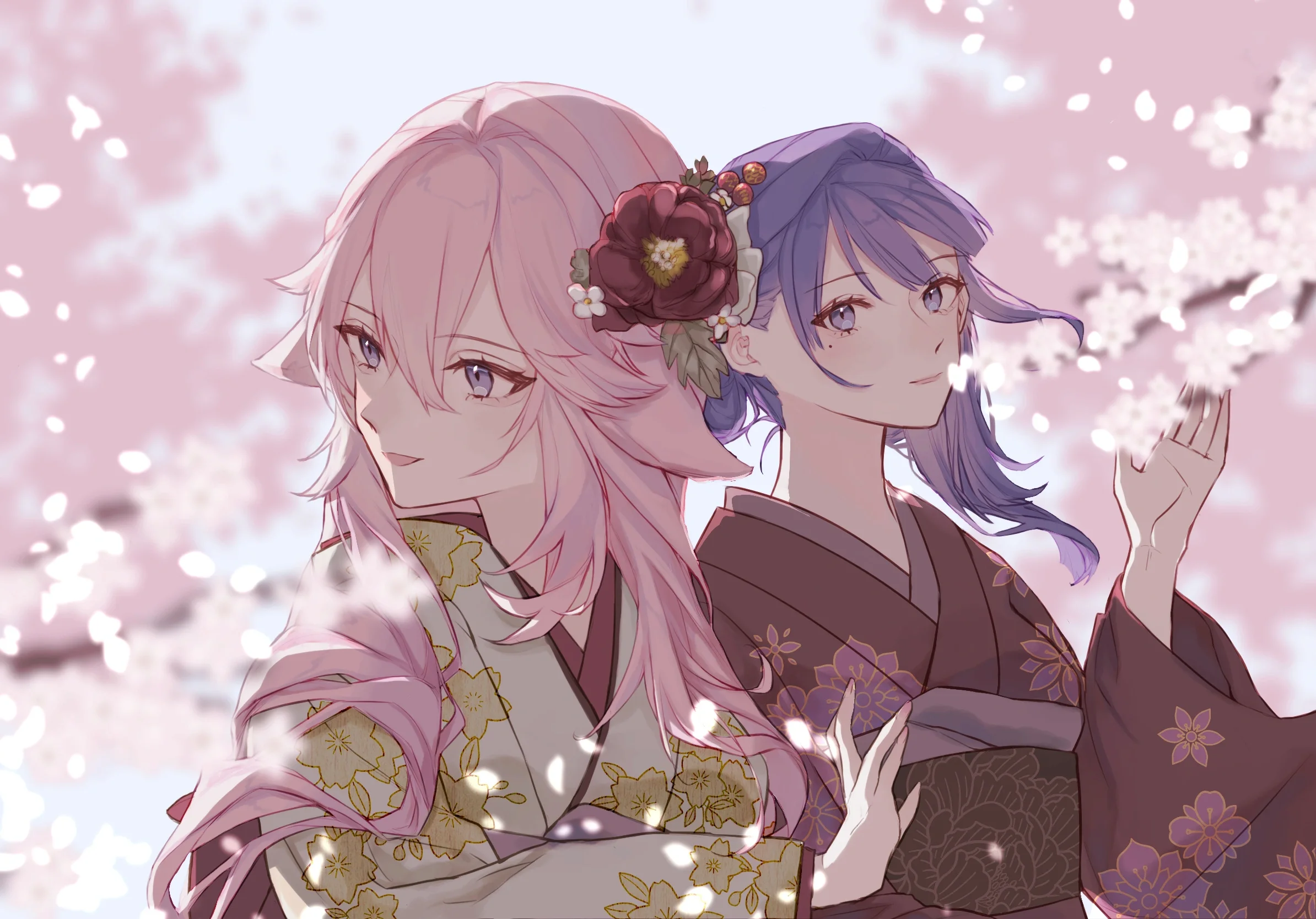 boxmoe_header_banner_img