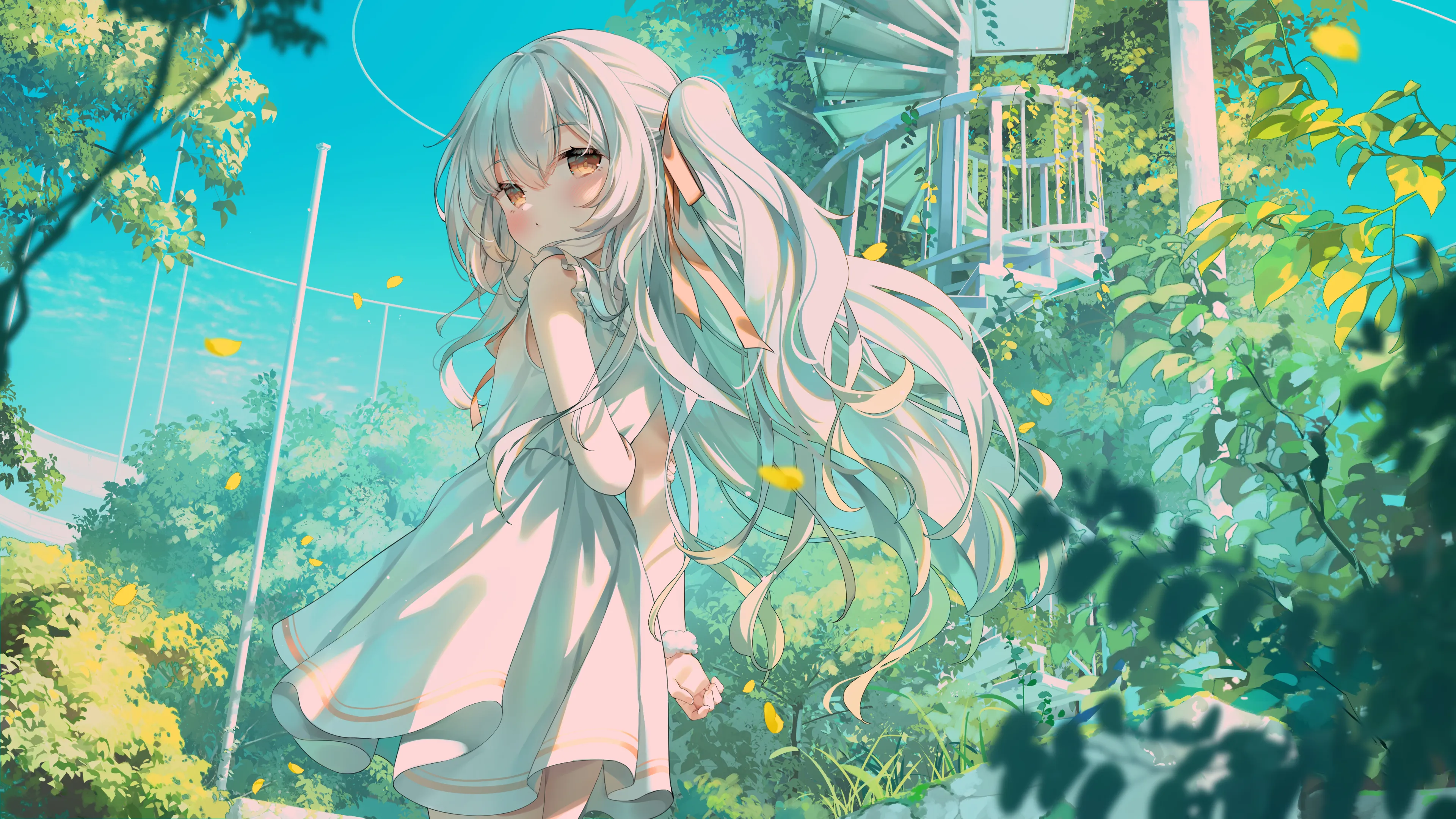 boxmoe_header_banner_img
