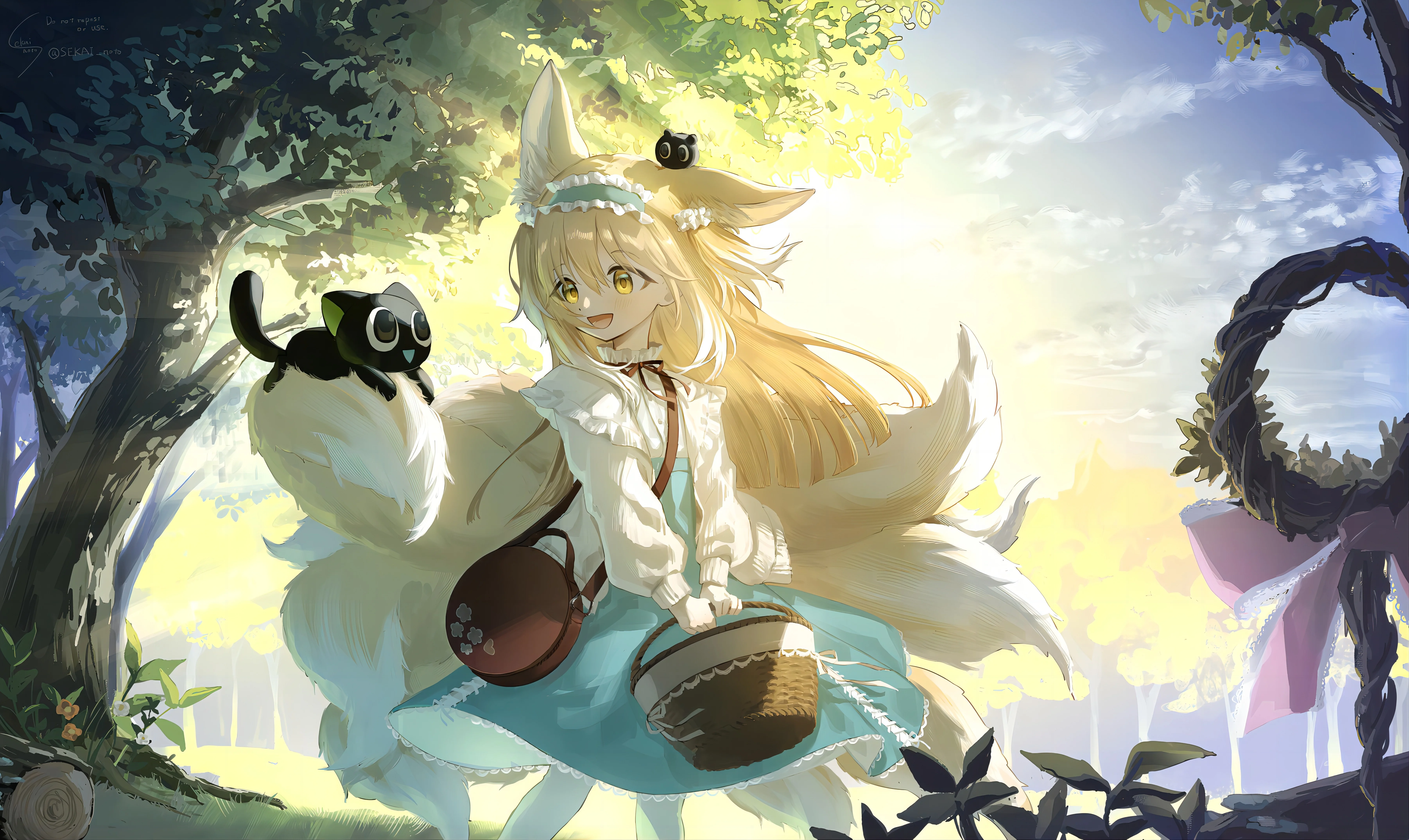 boxmoe_header_banner_img