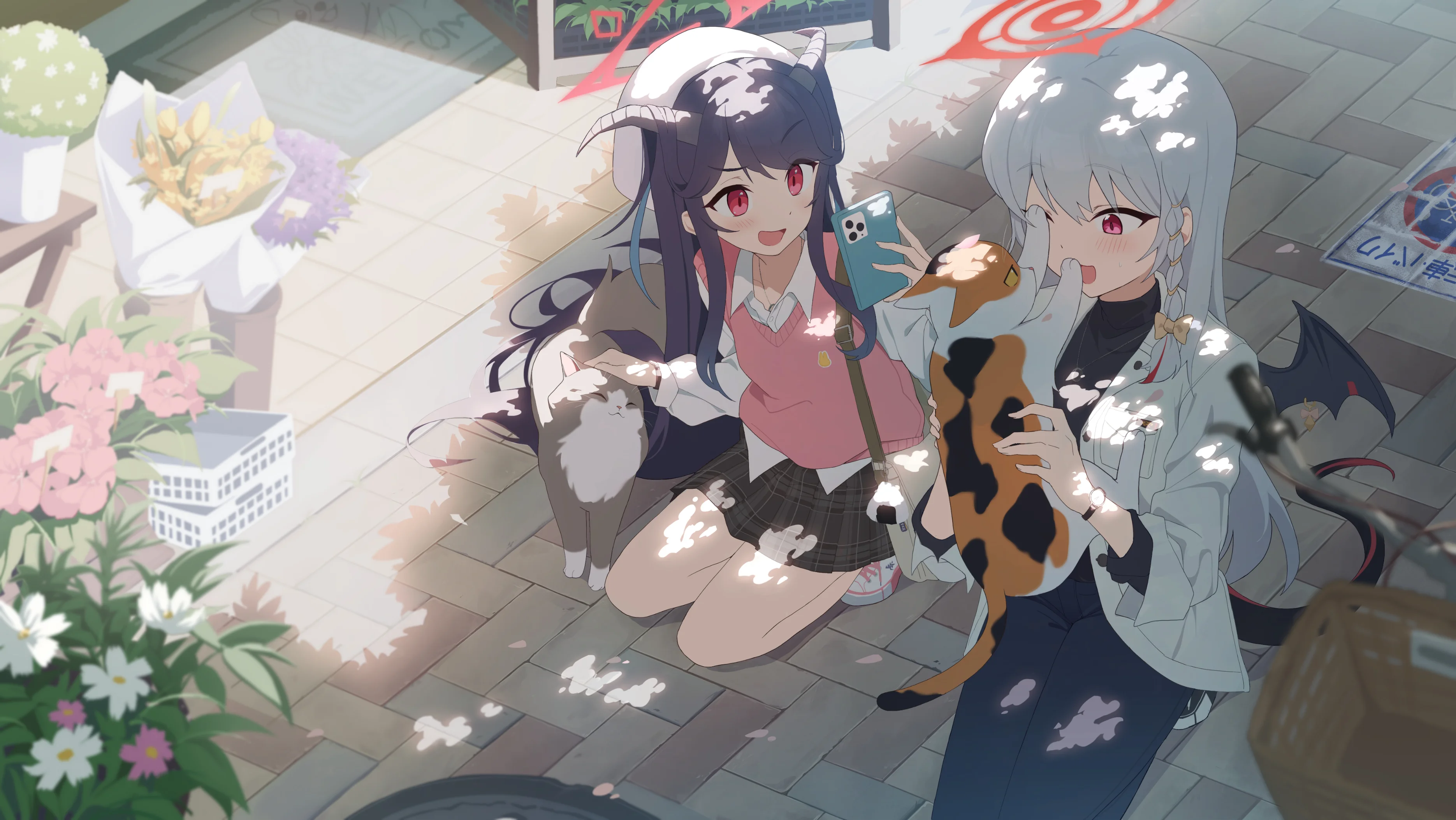 boxmoe_header_banner_img