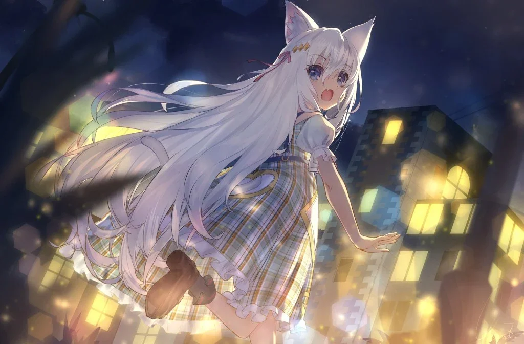 boxmoe_header_banner_img