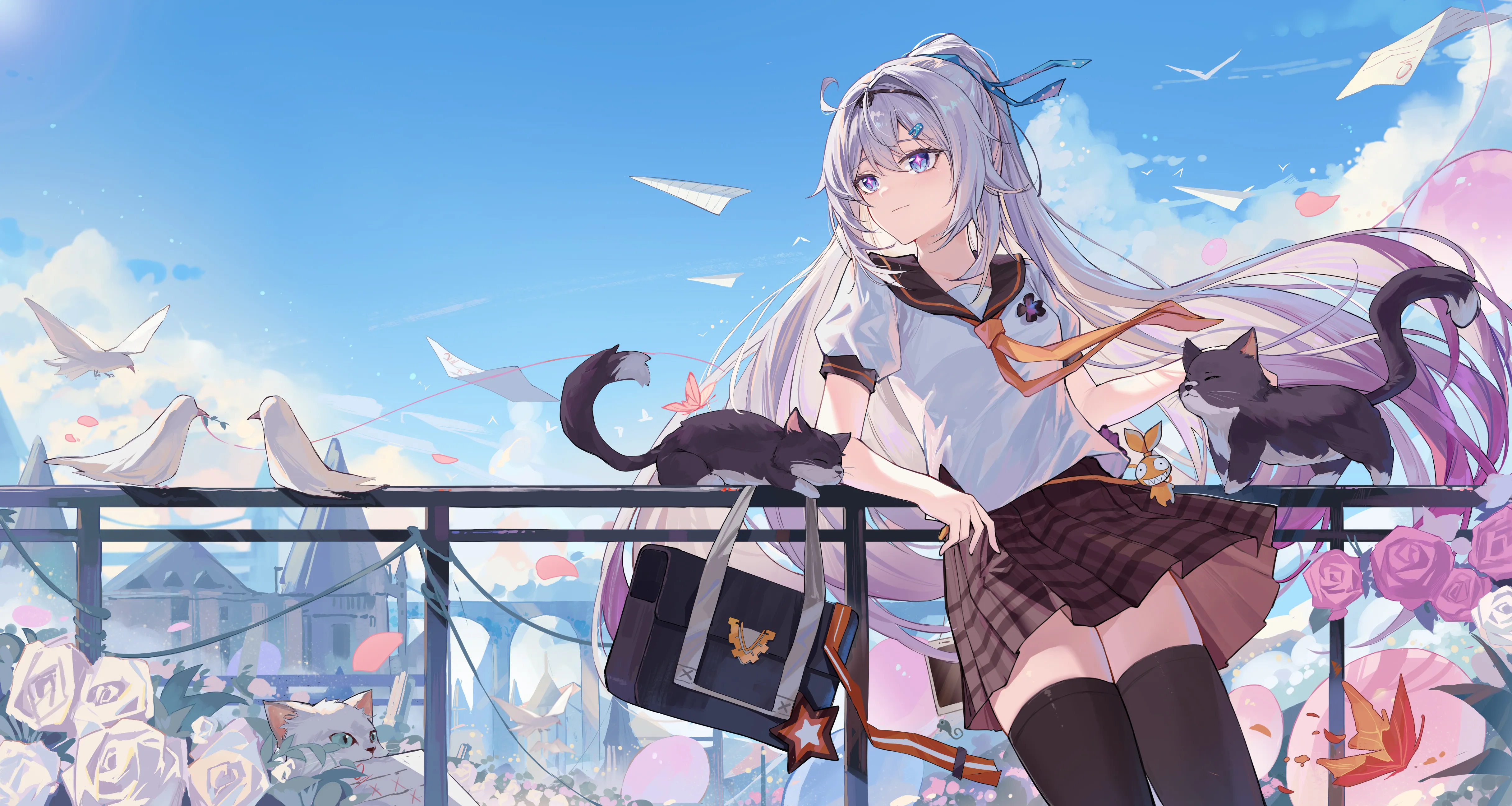 boxmoe_header_banner_img