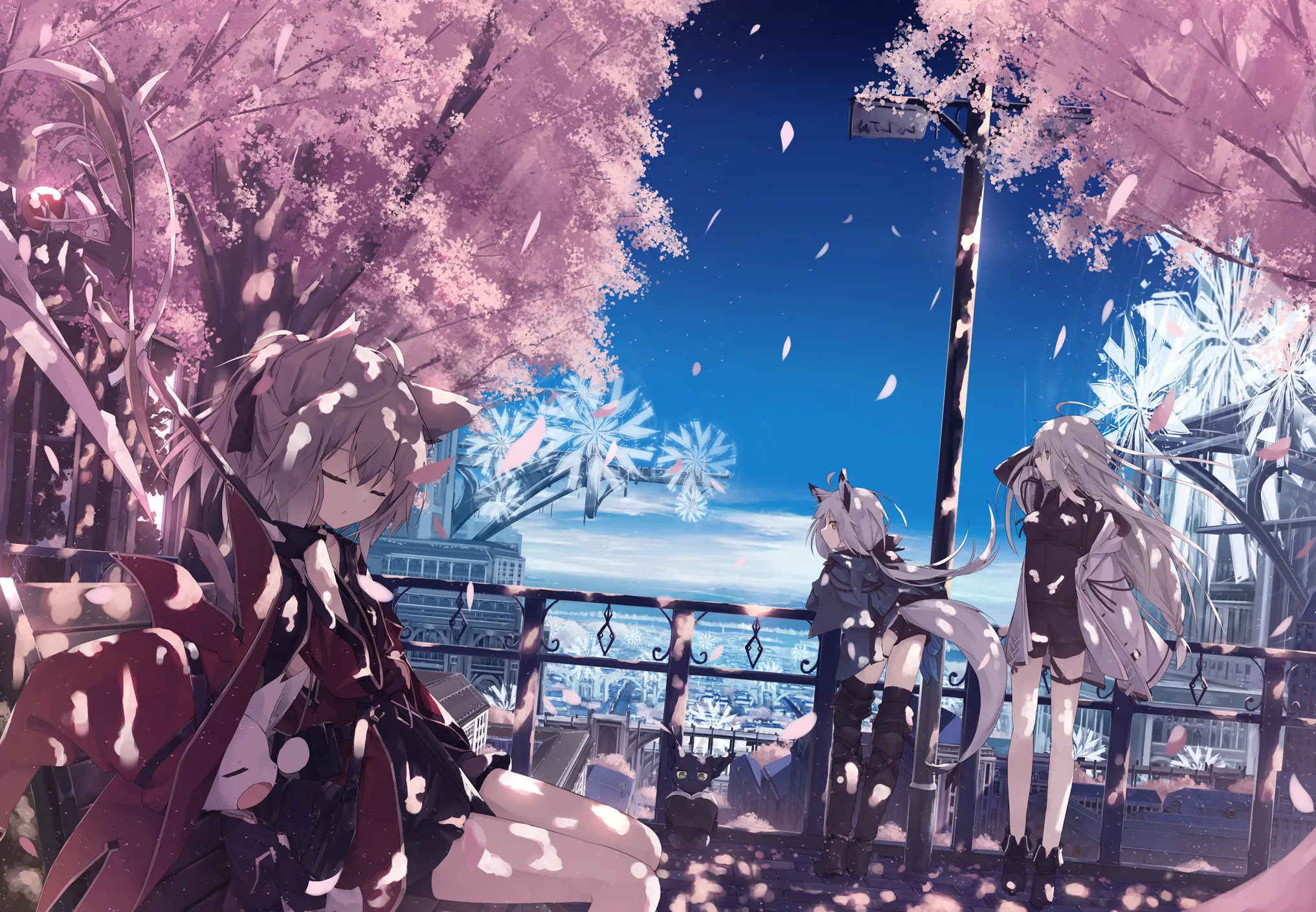 boxmoe_header_banner_img