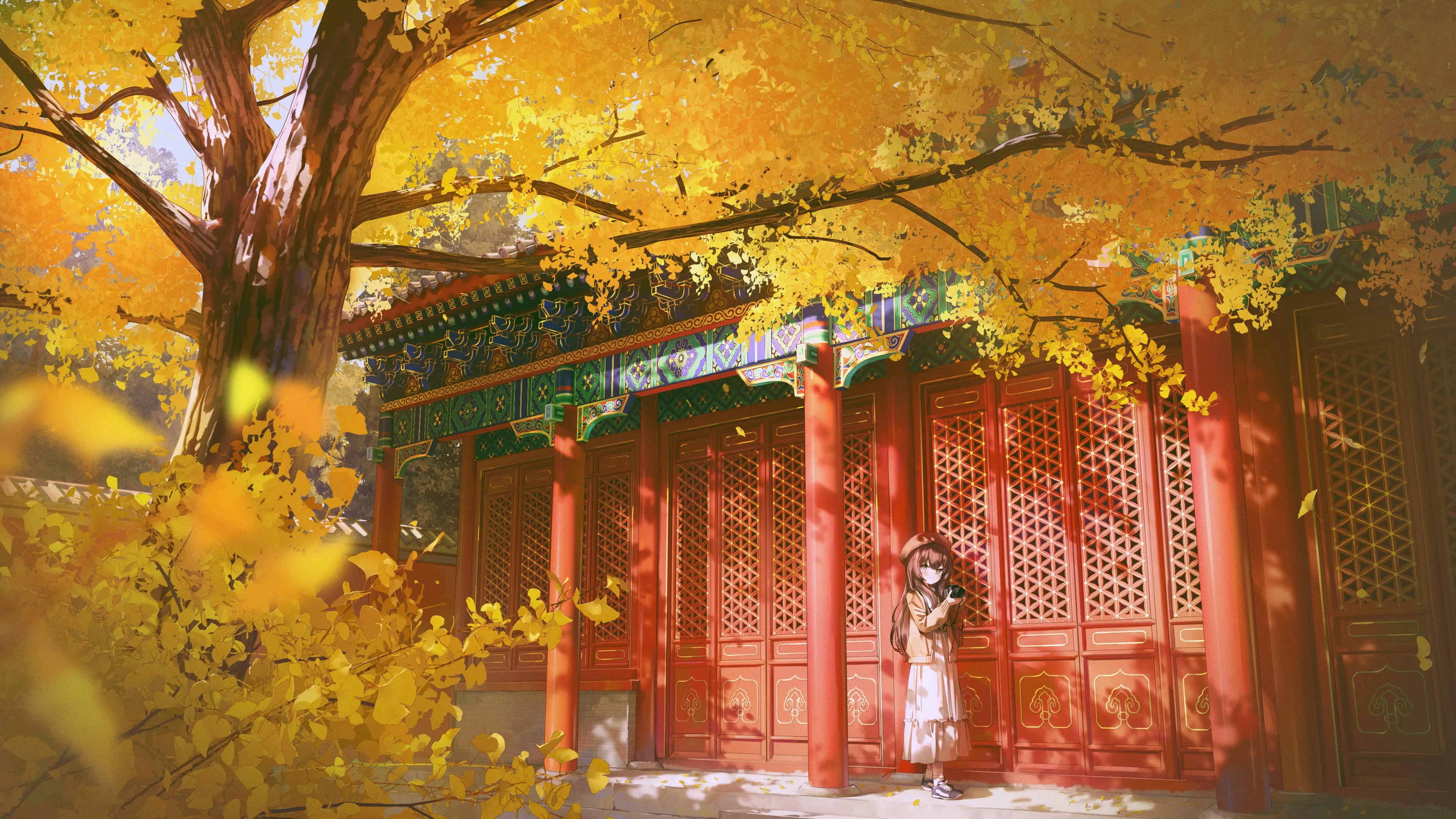 boxmoe_header_banner_img