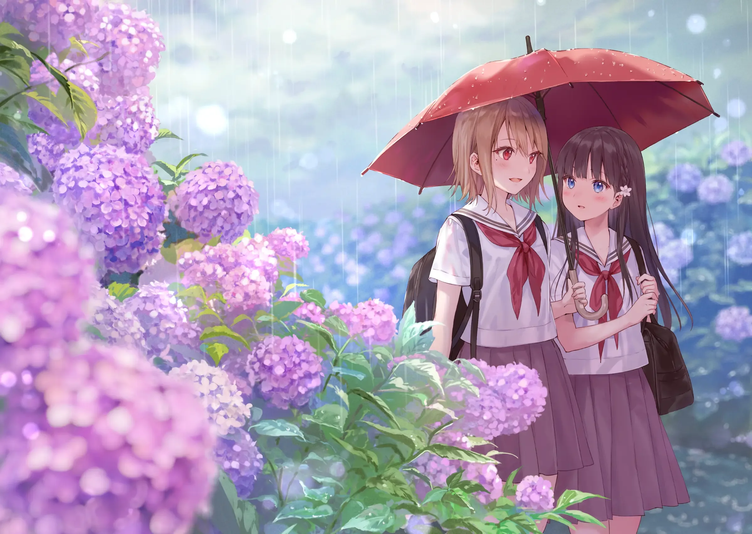 boxmoe_header_banner_img