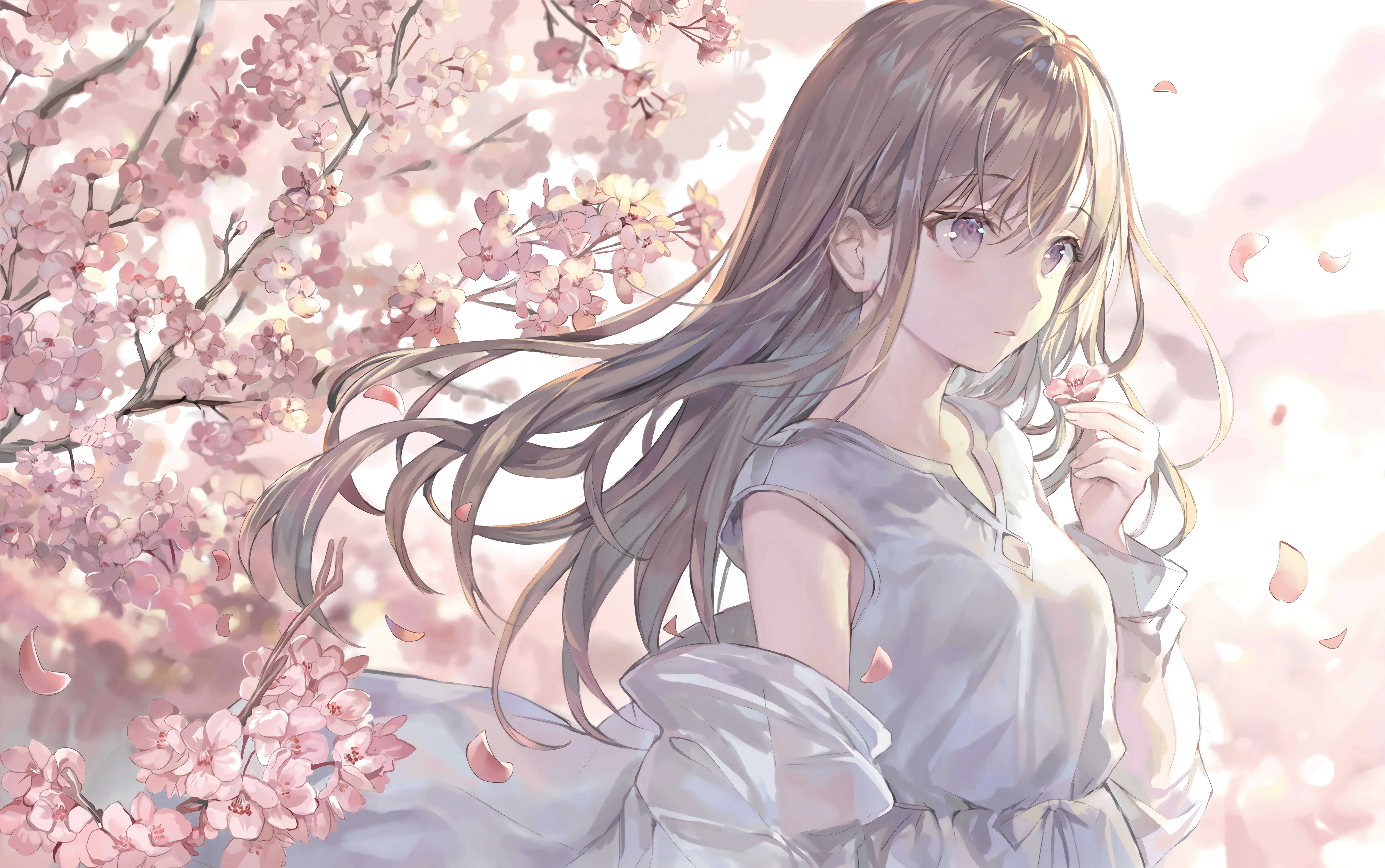 boxmoe_header_banner_img