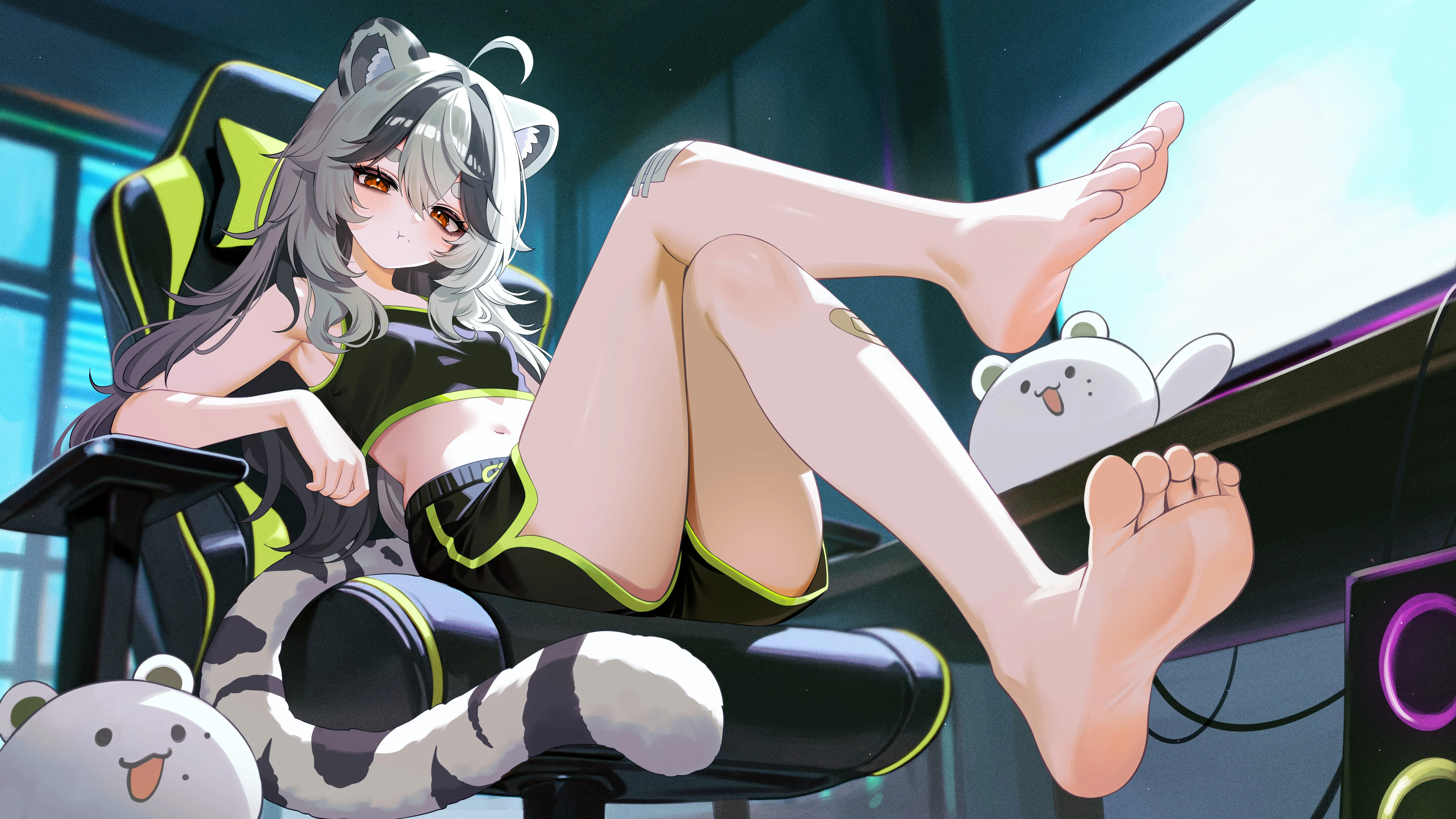 boxmoe_header_banner_img
